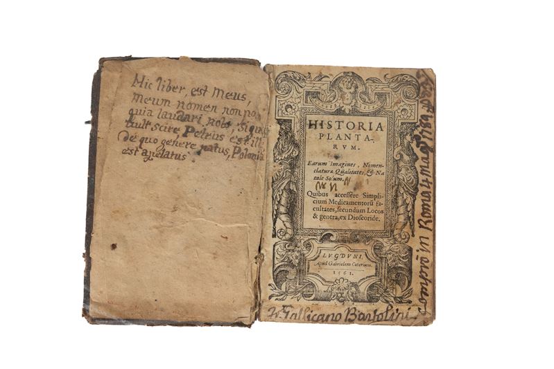 Historia Plantarum. Earum imagines, nomenclaturae, qualitates, & natale solum