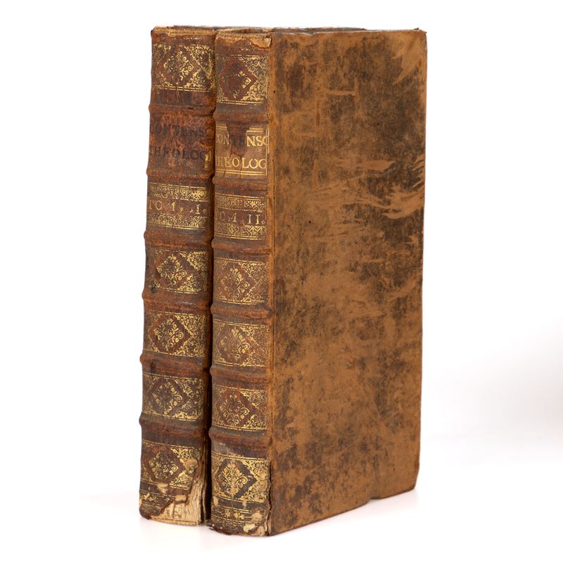 Theologia mentis et cordis: seu speculatio universae sacrae doctrinae temperata