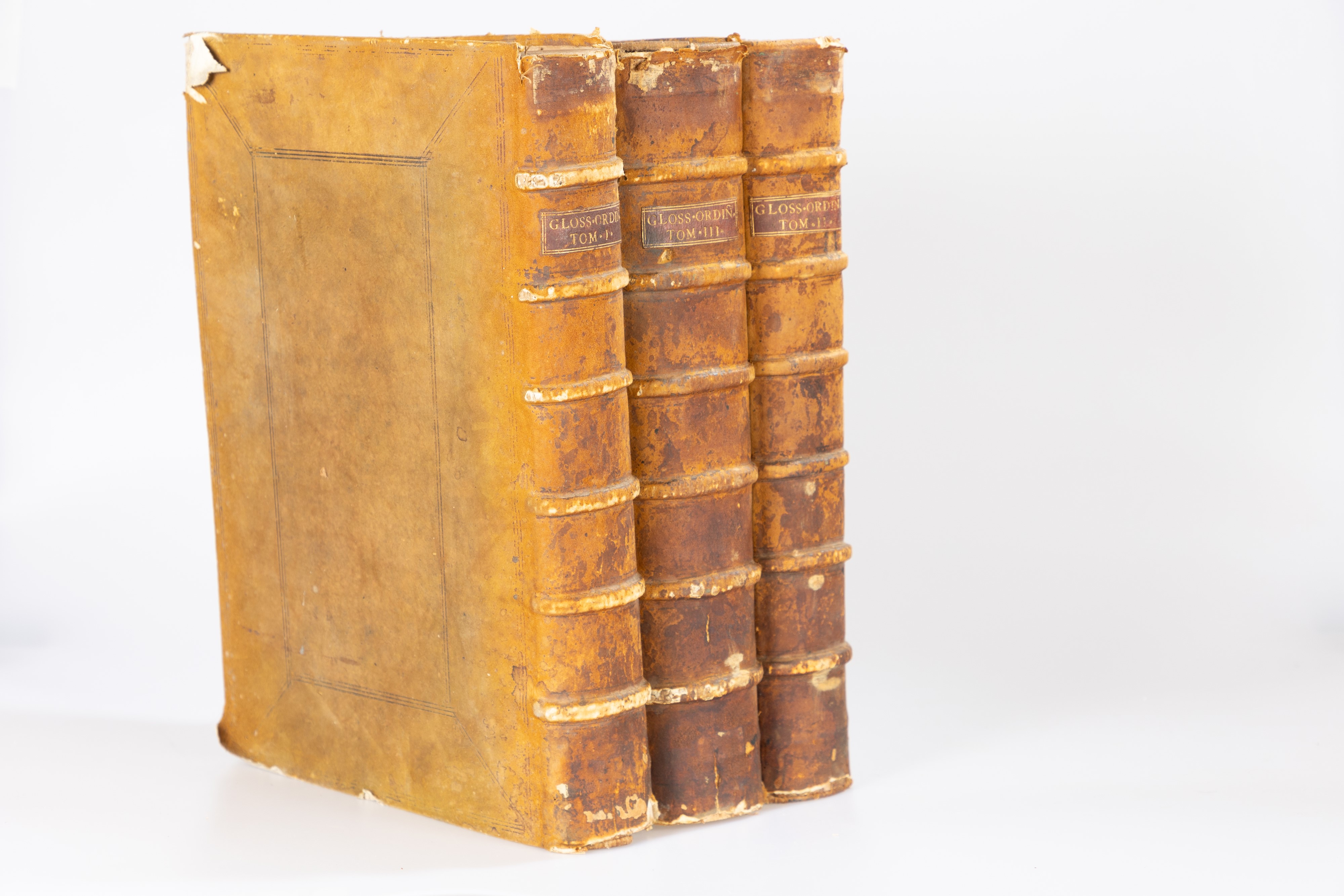 Biblia Sacra cum glossa ordinaria