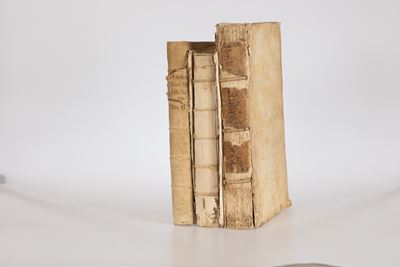 Lotto di Tre Volumi In-folio Rilegati in Pergamena Coeva