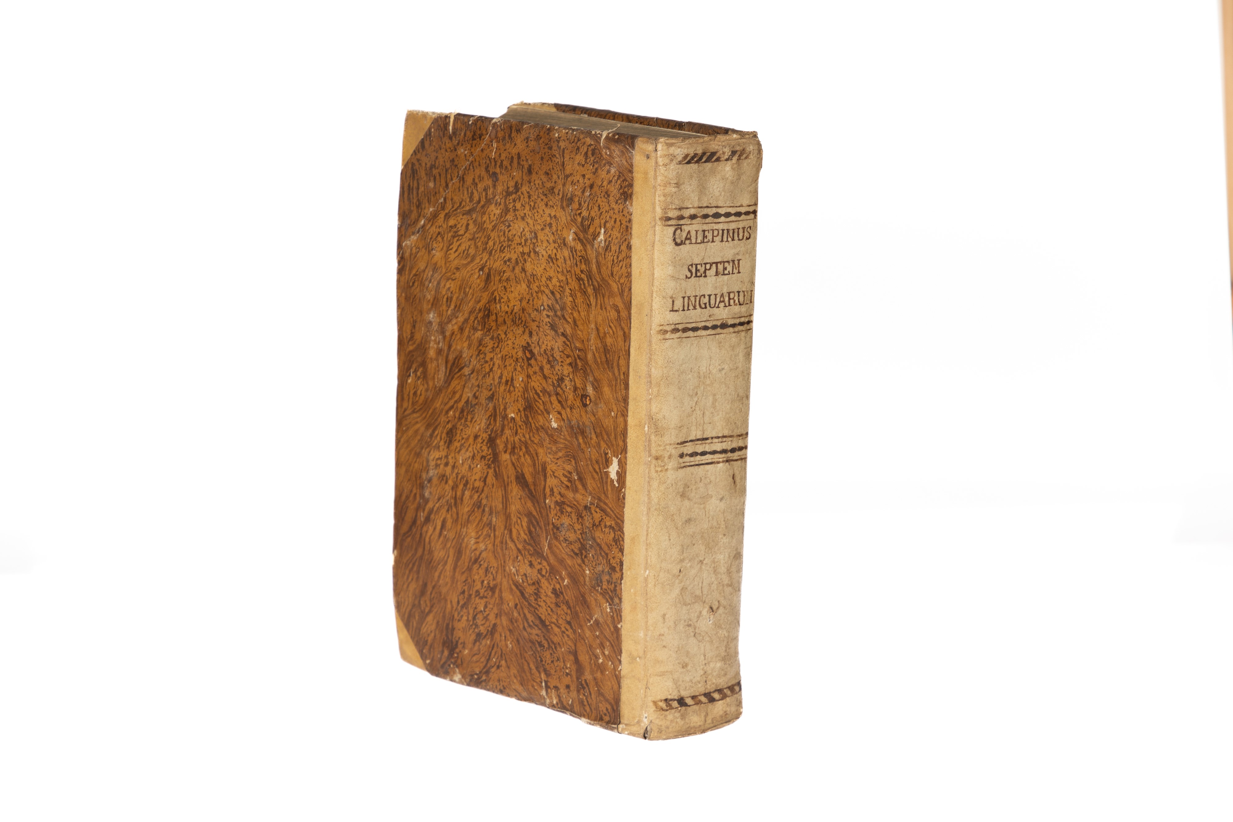Septem linguarum Calepinus