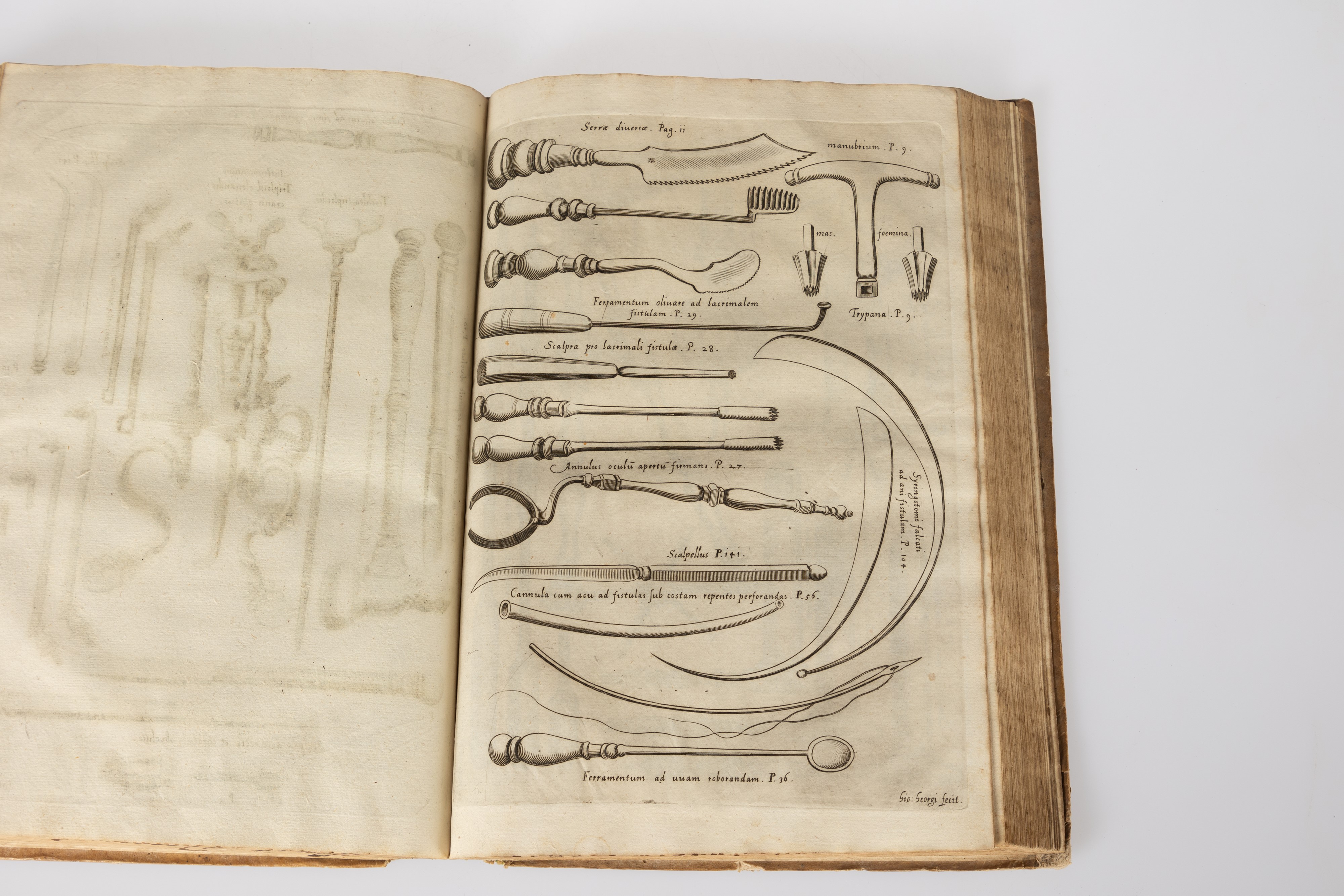 Hieronymi Fabricii ab Aquapendente