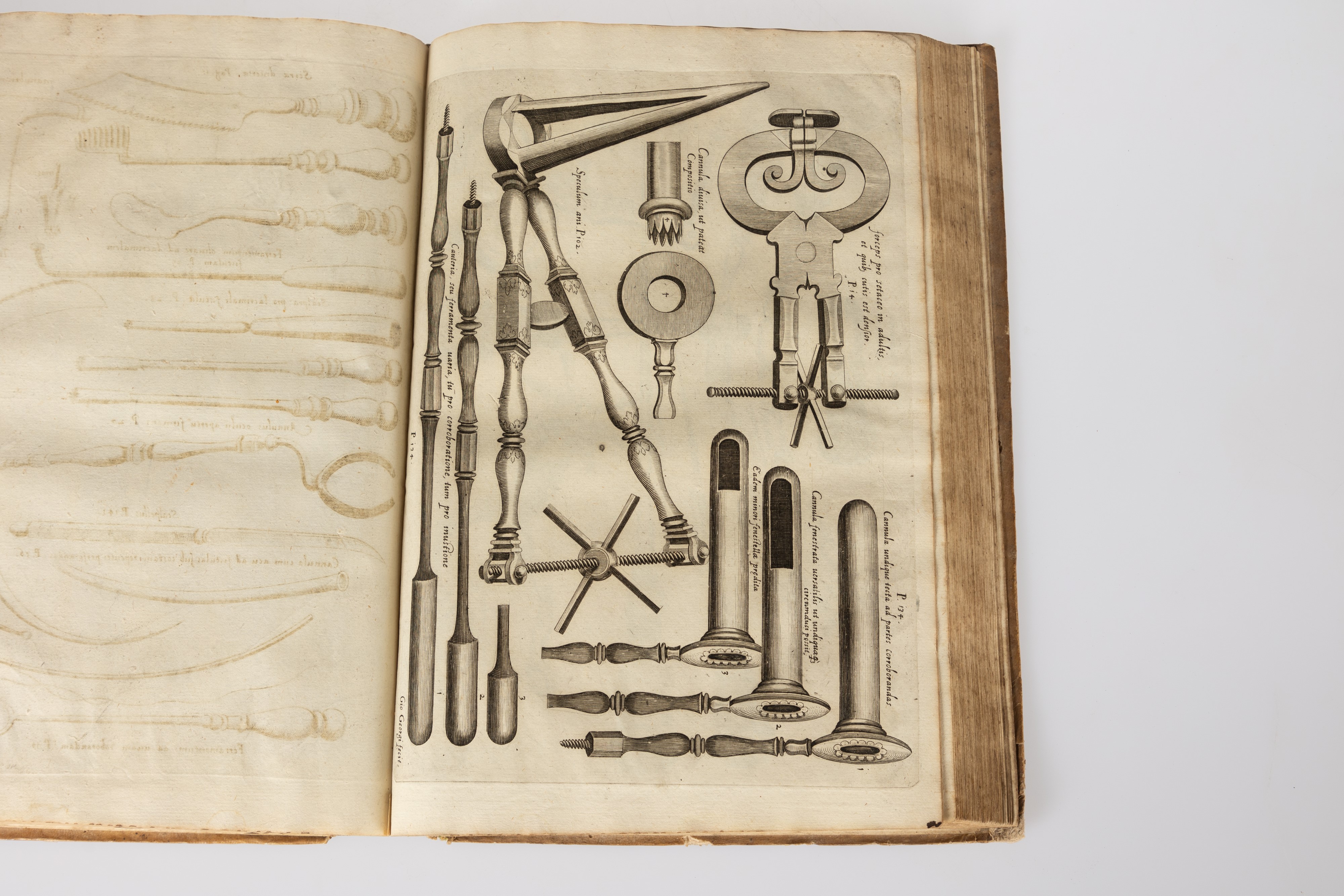 Hieronymi Fabricii ab Aquapendente