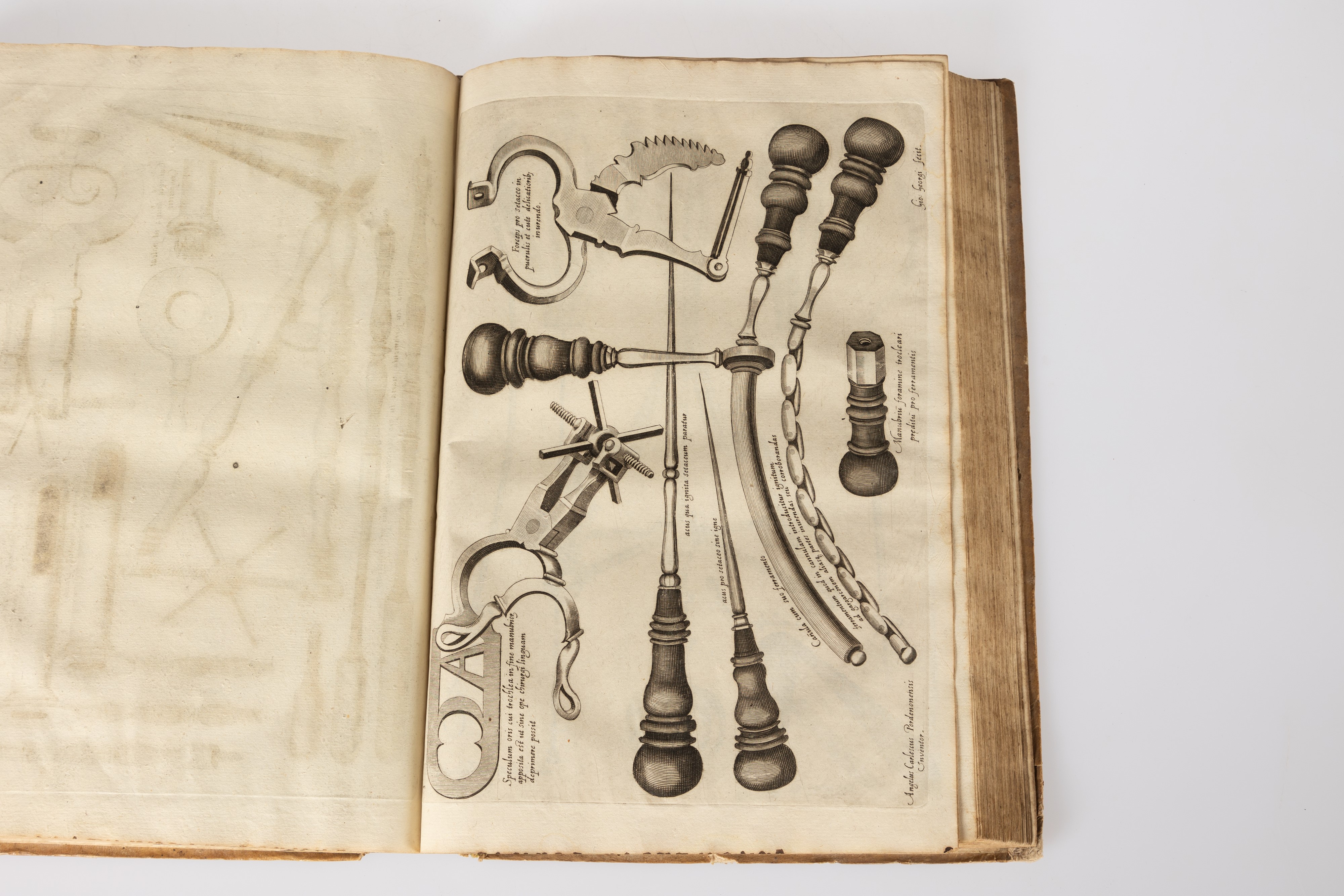 Hieronymi Fabricii ab Aquapendente