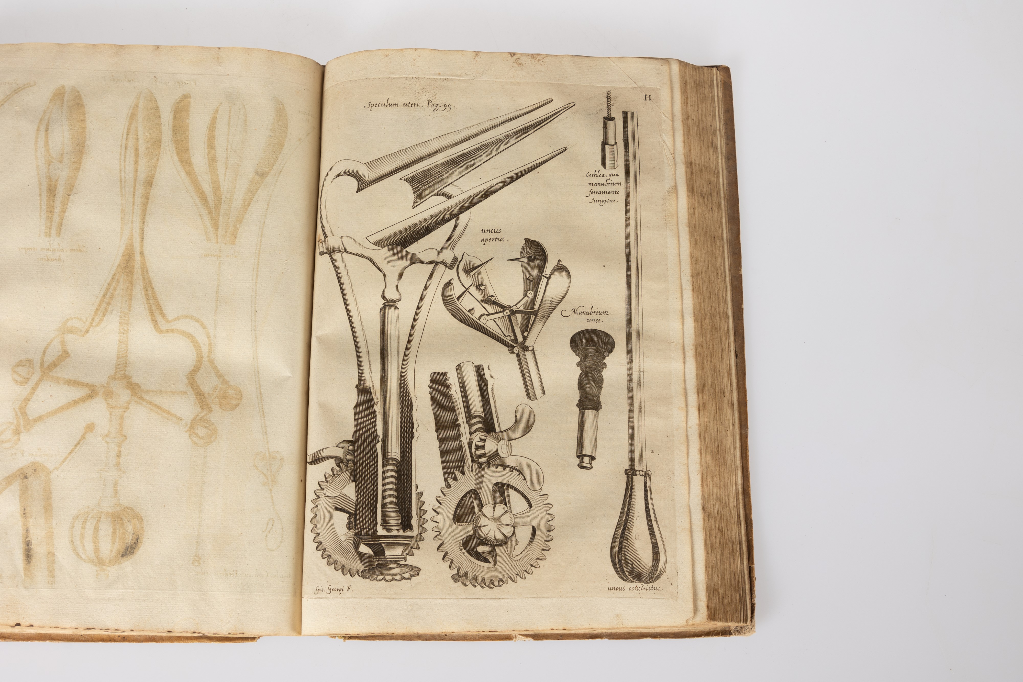 Hieronymi Fabricii ab Aquapendente