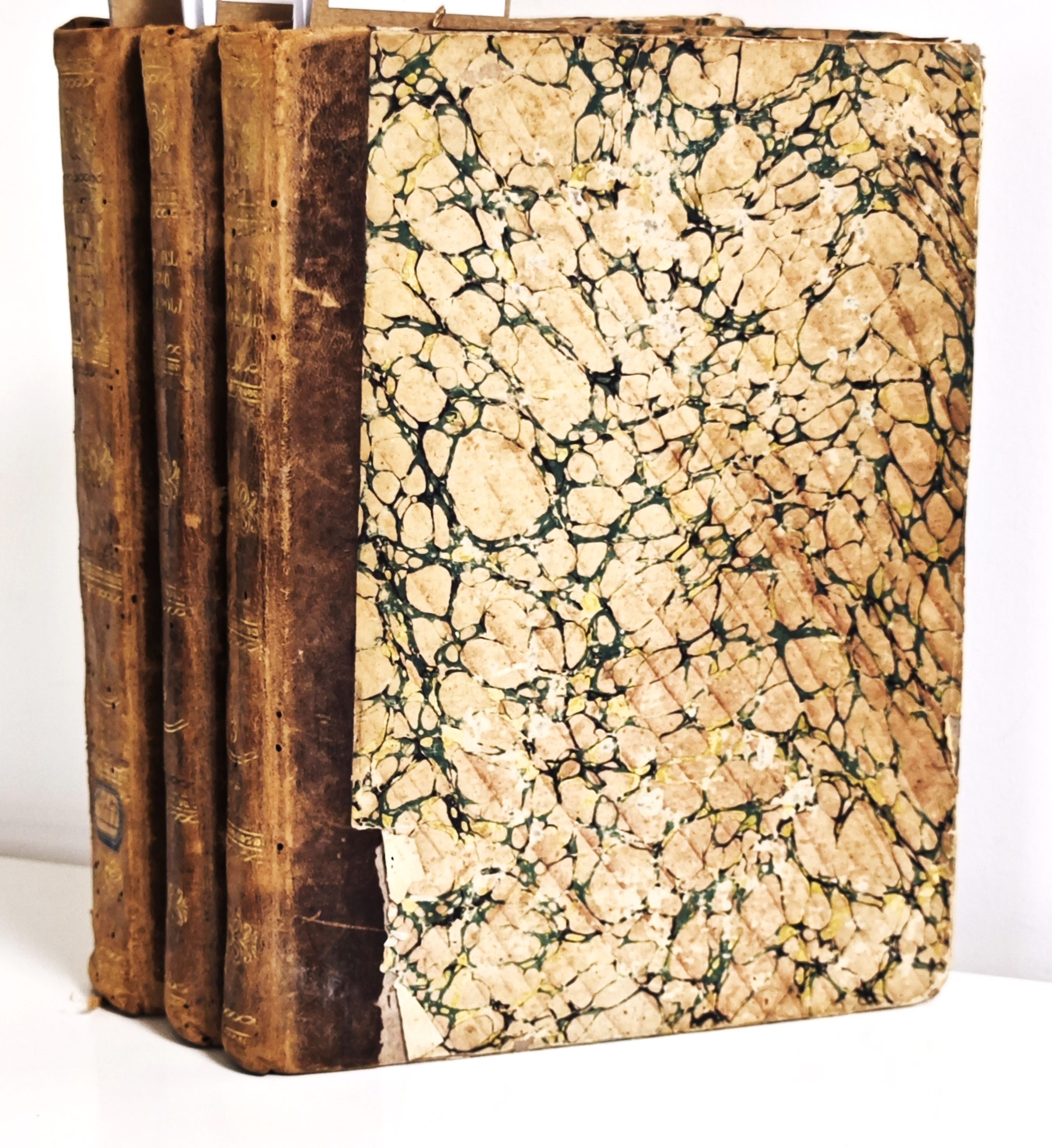 Il Regno di Napoli in prospettiva diviso in dodeci provincie