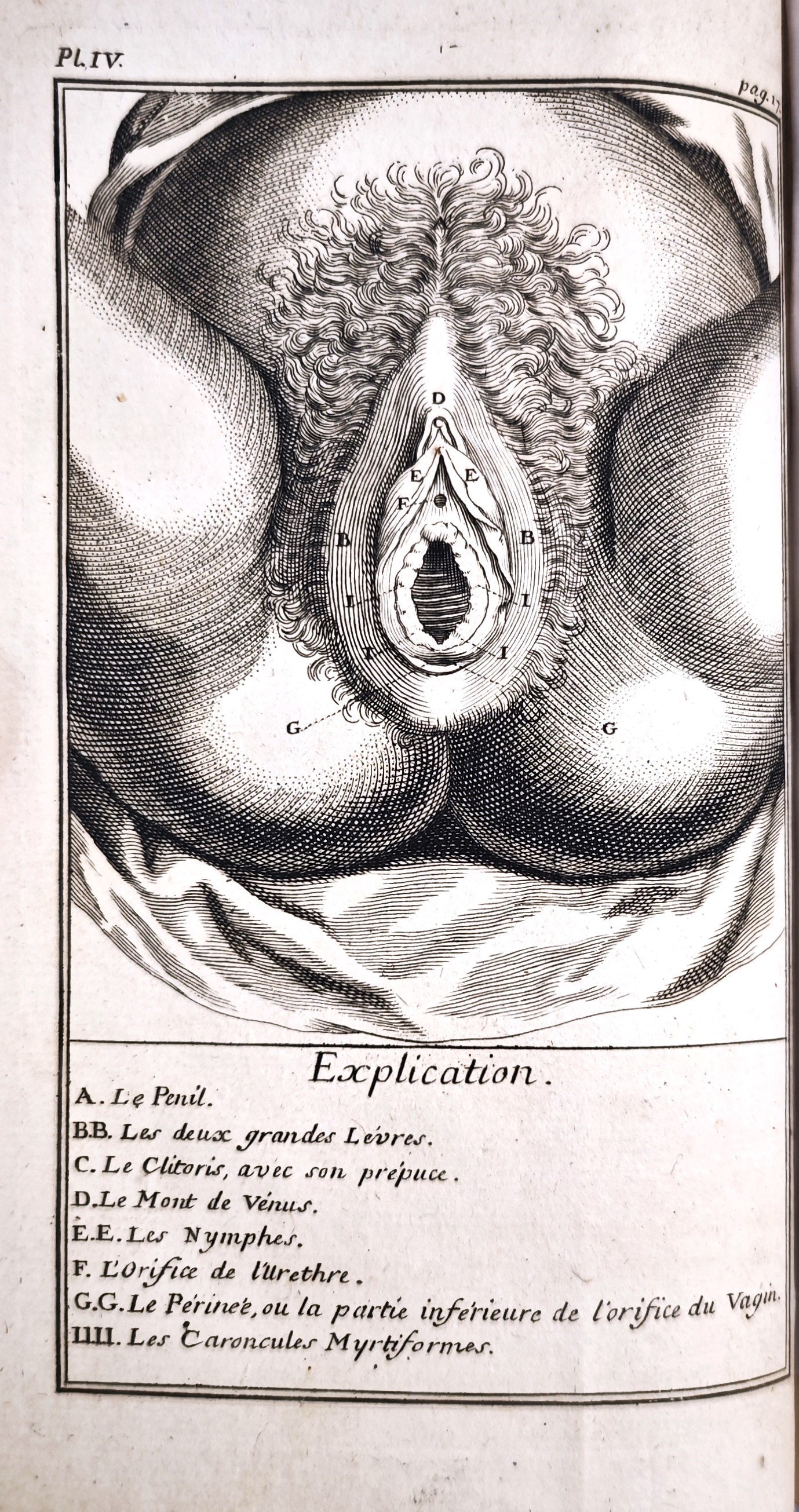 Lotto di due libri Mesnard, Jacques e Paulet, Jean Jacques
