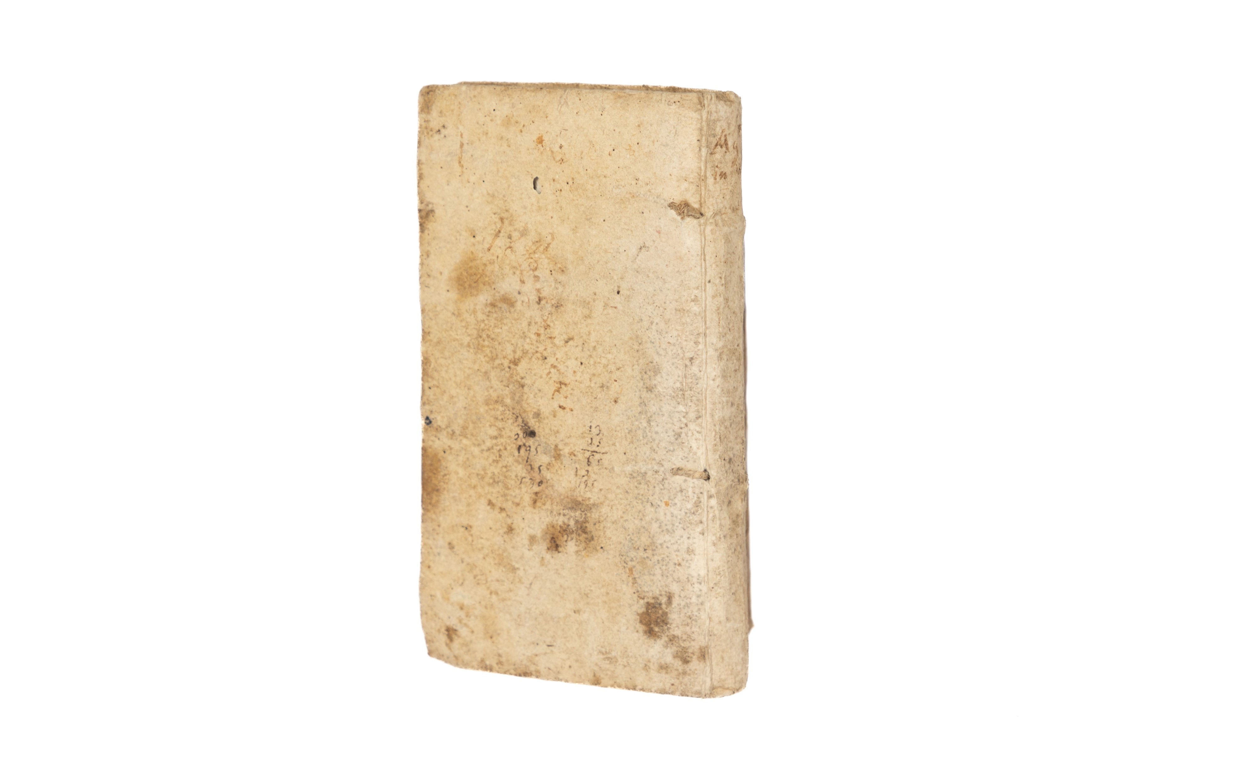 Lʹortolano in villa e lʹaccurato giardiniere in città