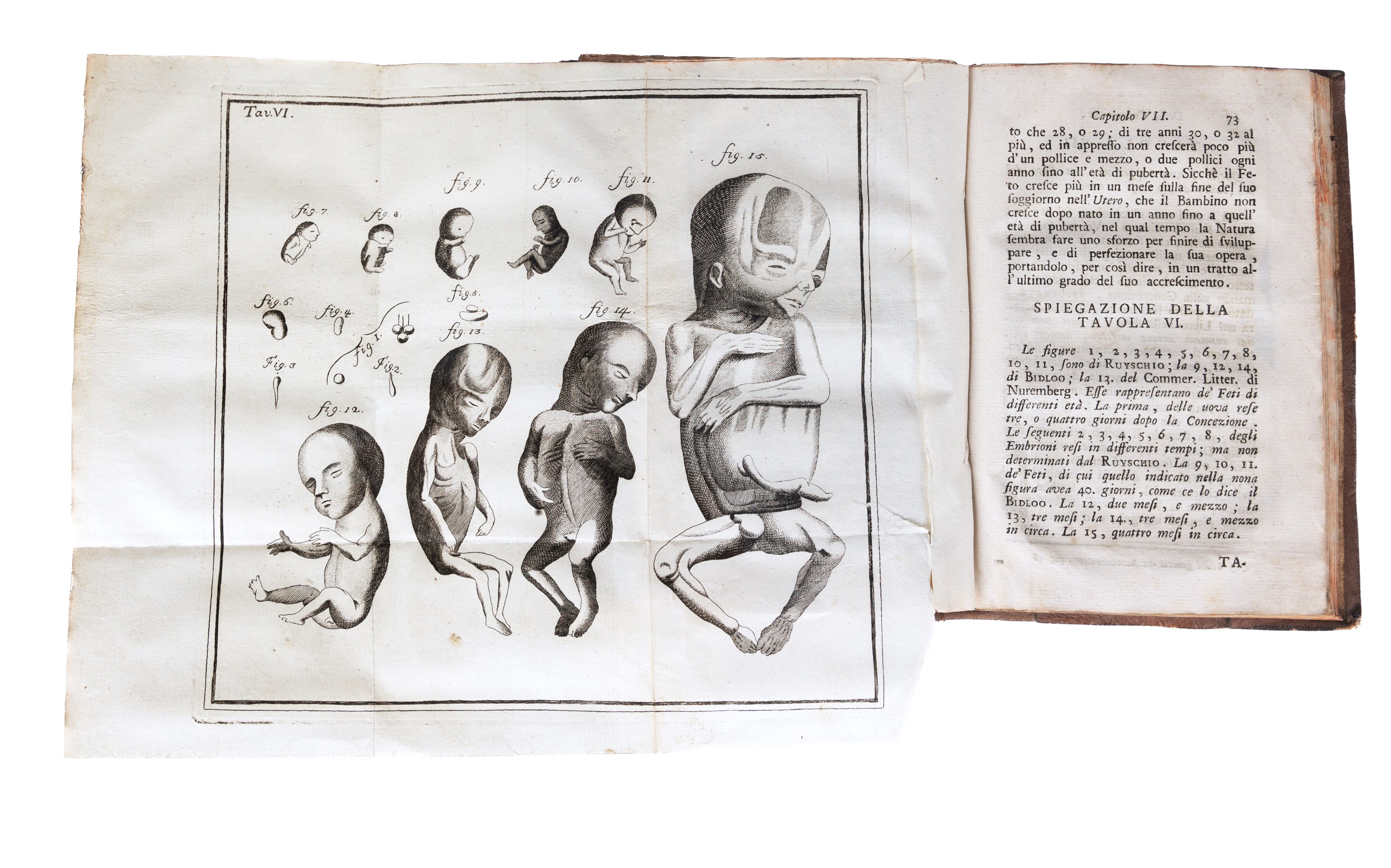 Il chirurgo raccoglitore moderno