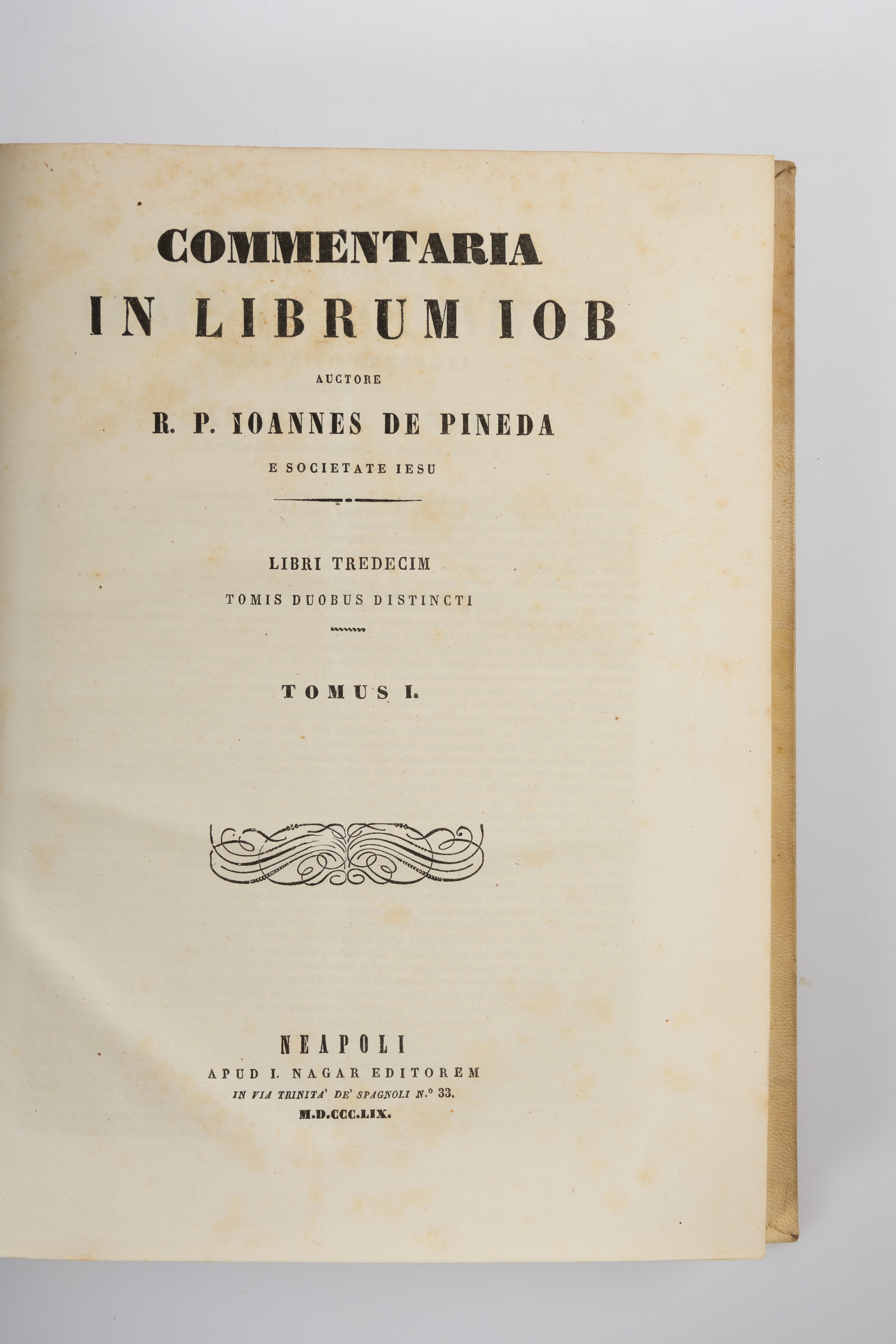 Commentaria in librum iob. Libri tredecim tomis duobus distincti