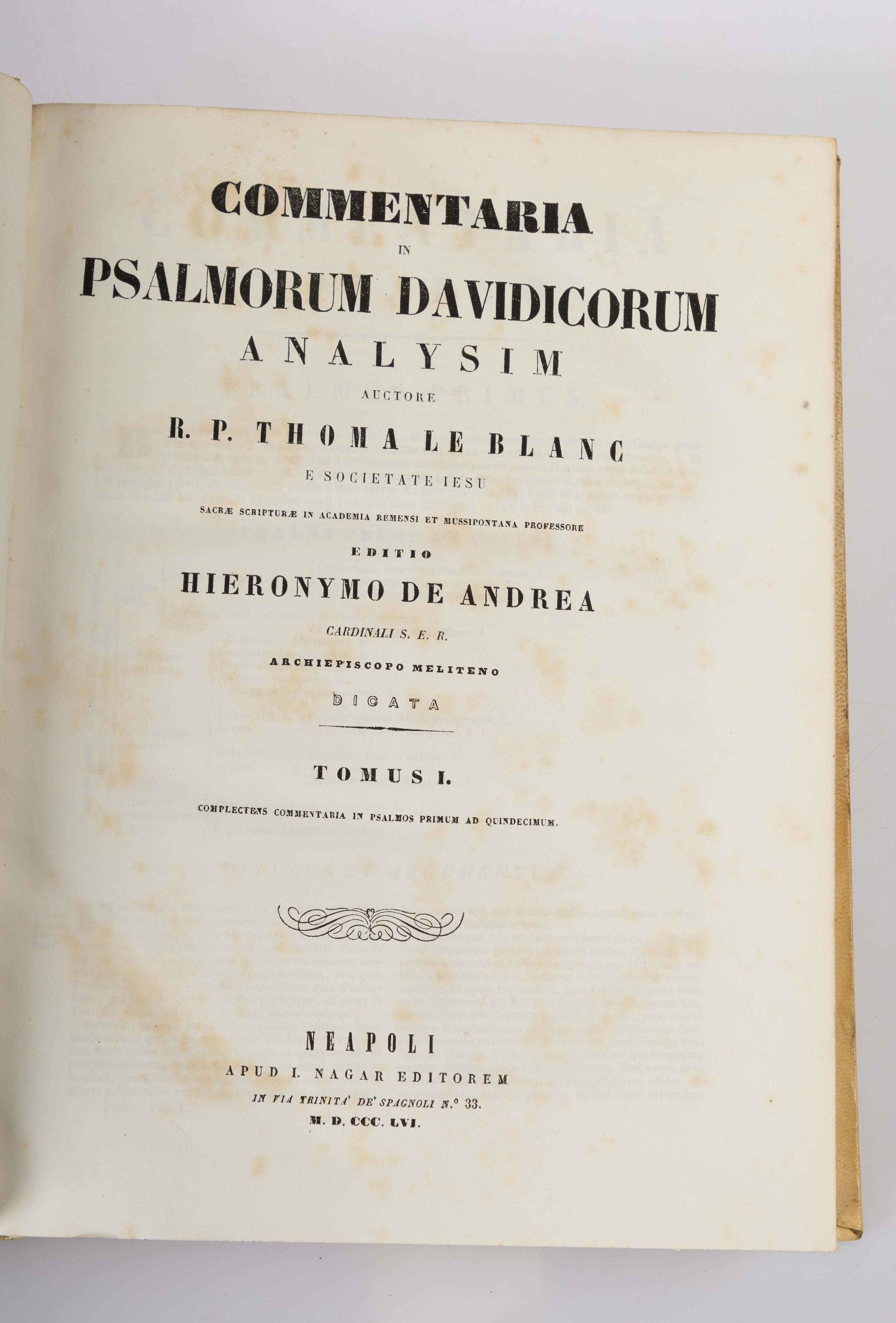 Commentaria in psalmorum davidicorum analysim...
