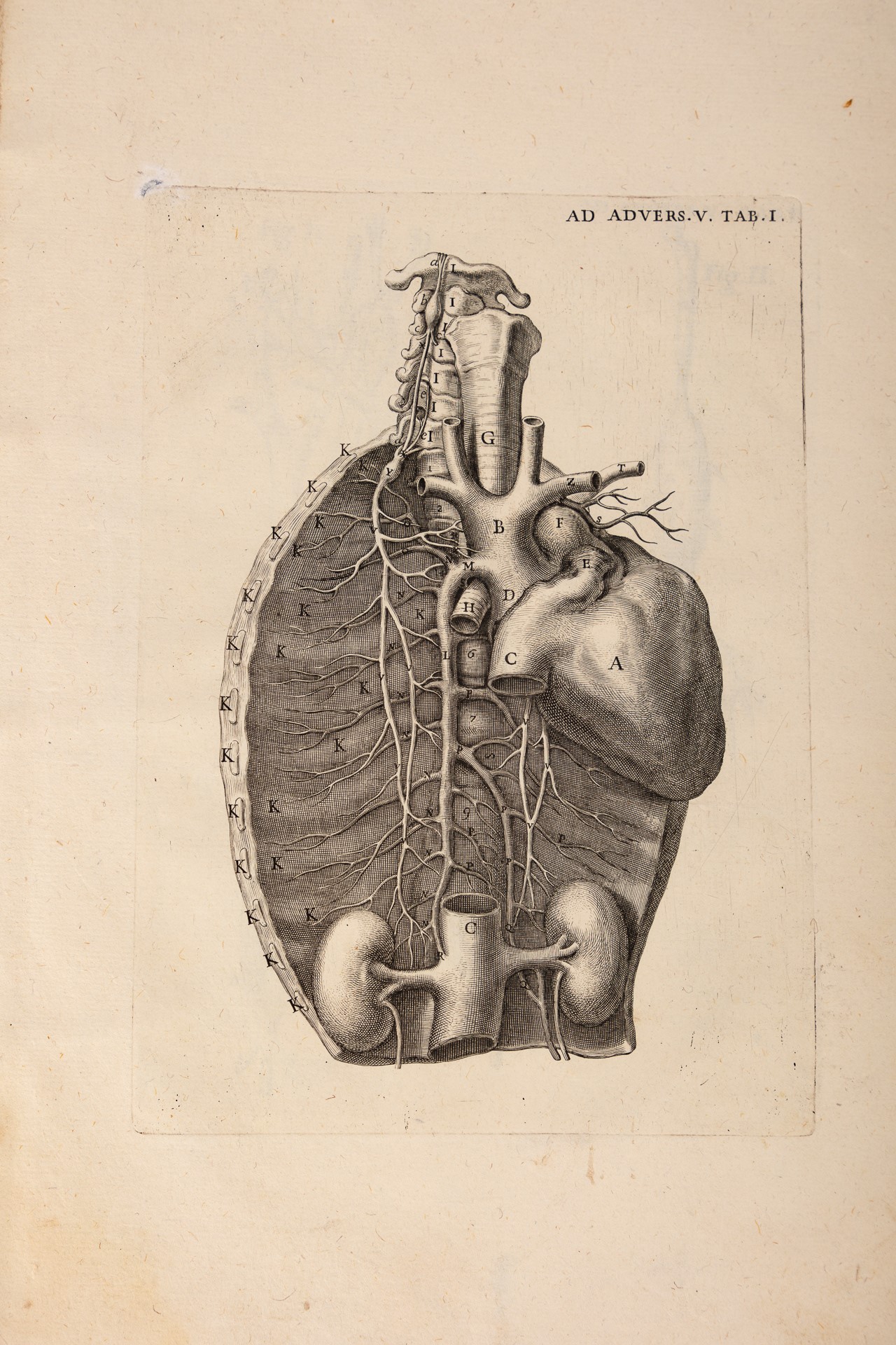 Jo. Baptistae Morgagni Opera Omnia