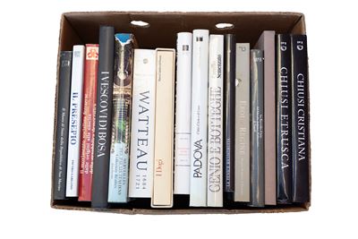 Box Letteraria Contenente Lotto di 16 Volumi D'arte e di Storia