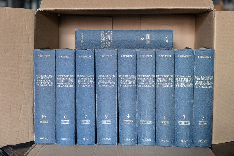 Box Letteraria Contenente Lotto di 10 Volumi del Dictionnaire Des Peintres Sculptures Dessinateur...