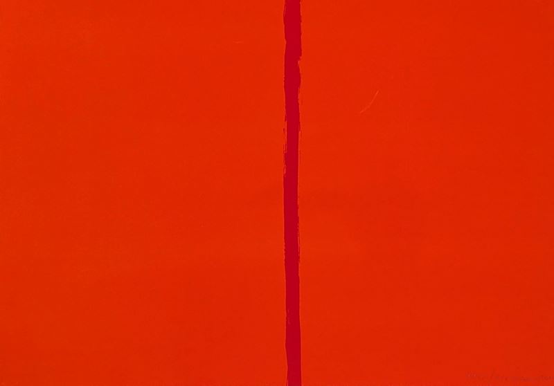 Il Rosso e il Rosso