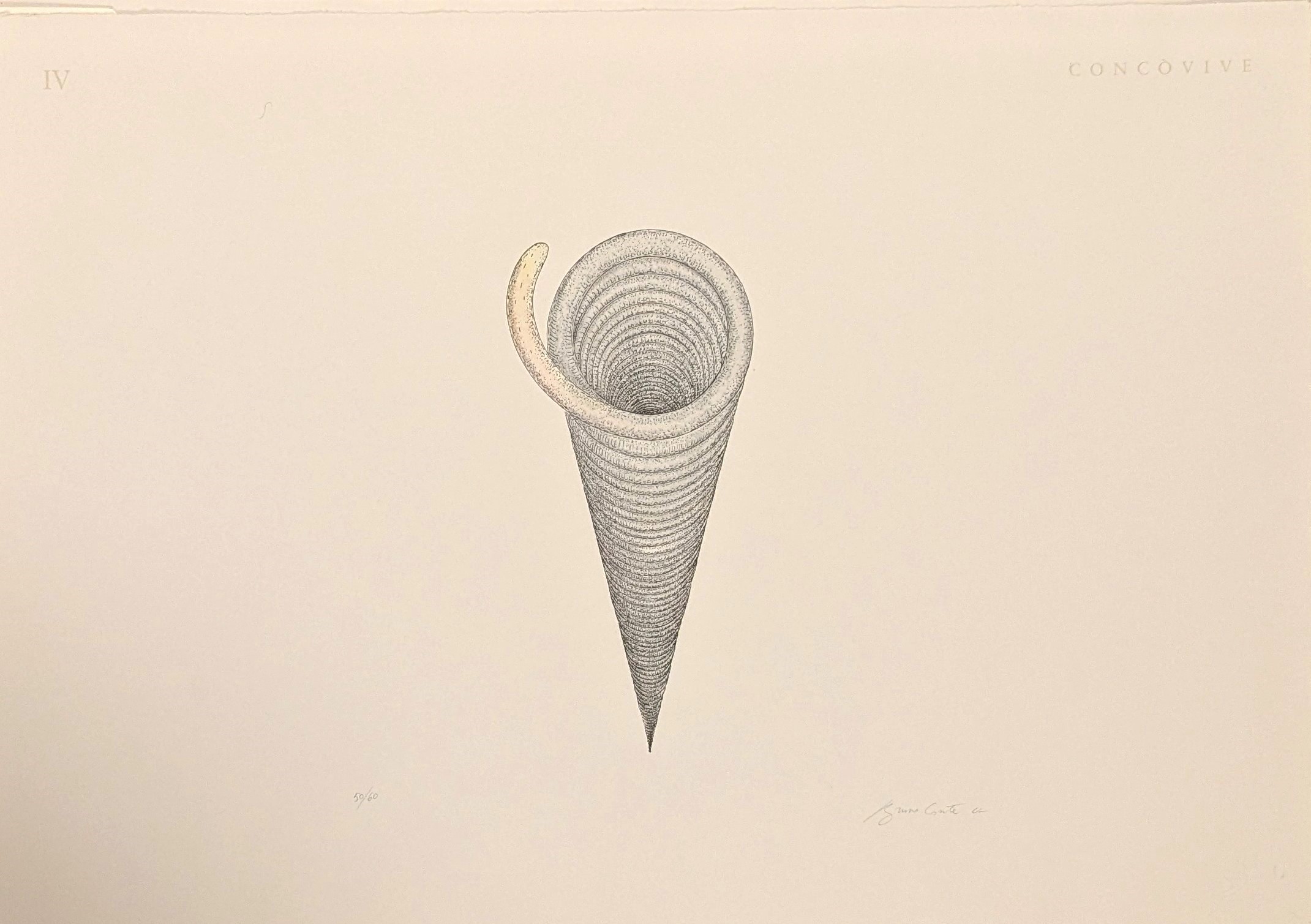 Bruno Conte - Zoonodi