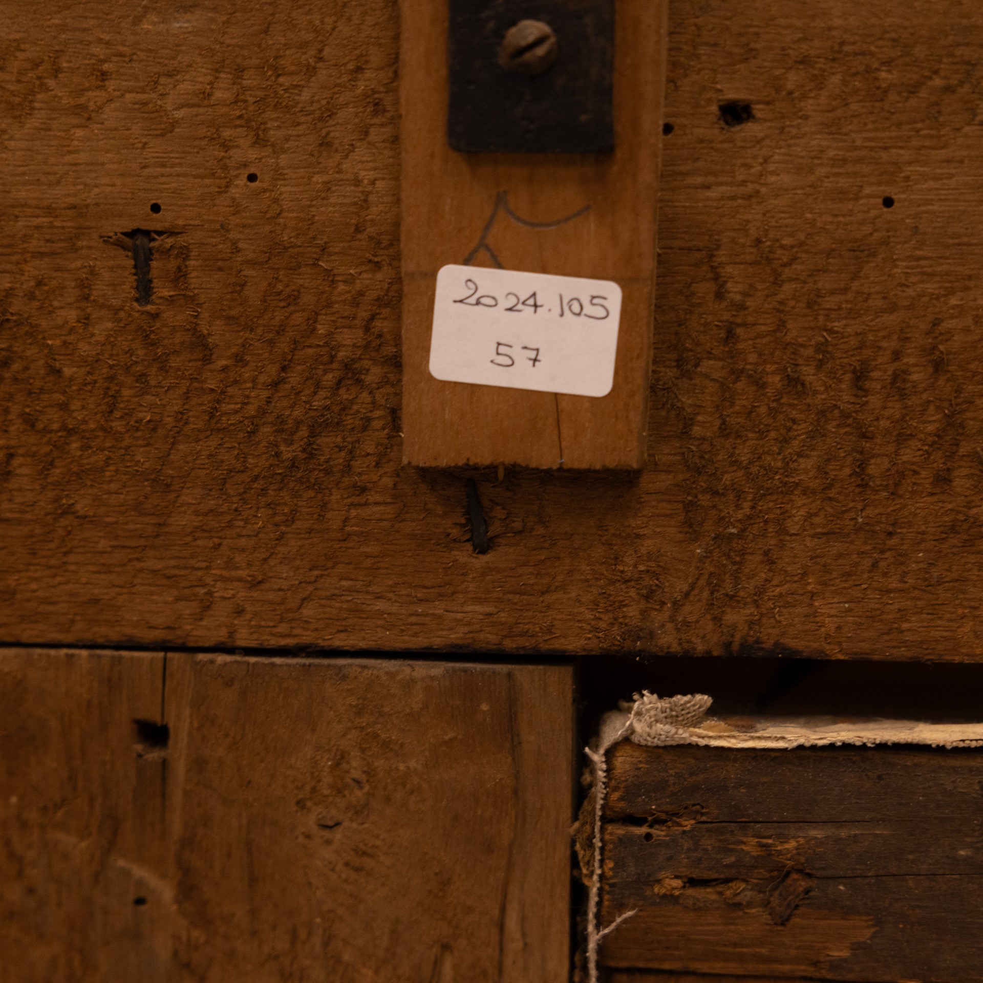 Ritratto del Conte Angelo Mazzoni con le insegne di Cavaliere di Santo Stefano