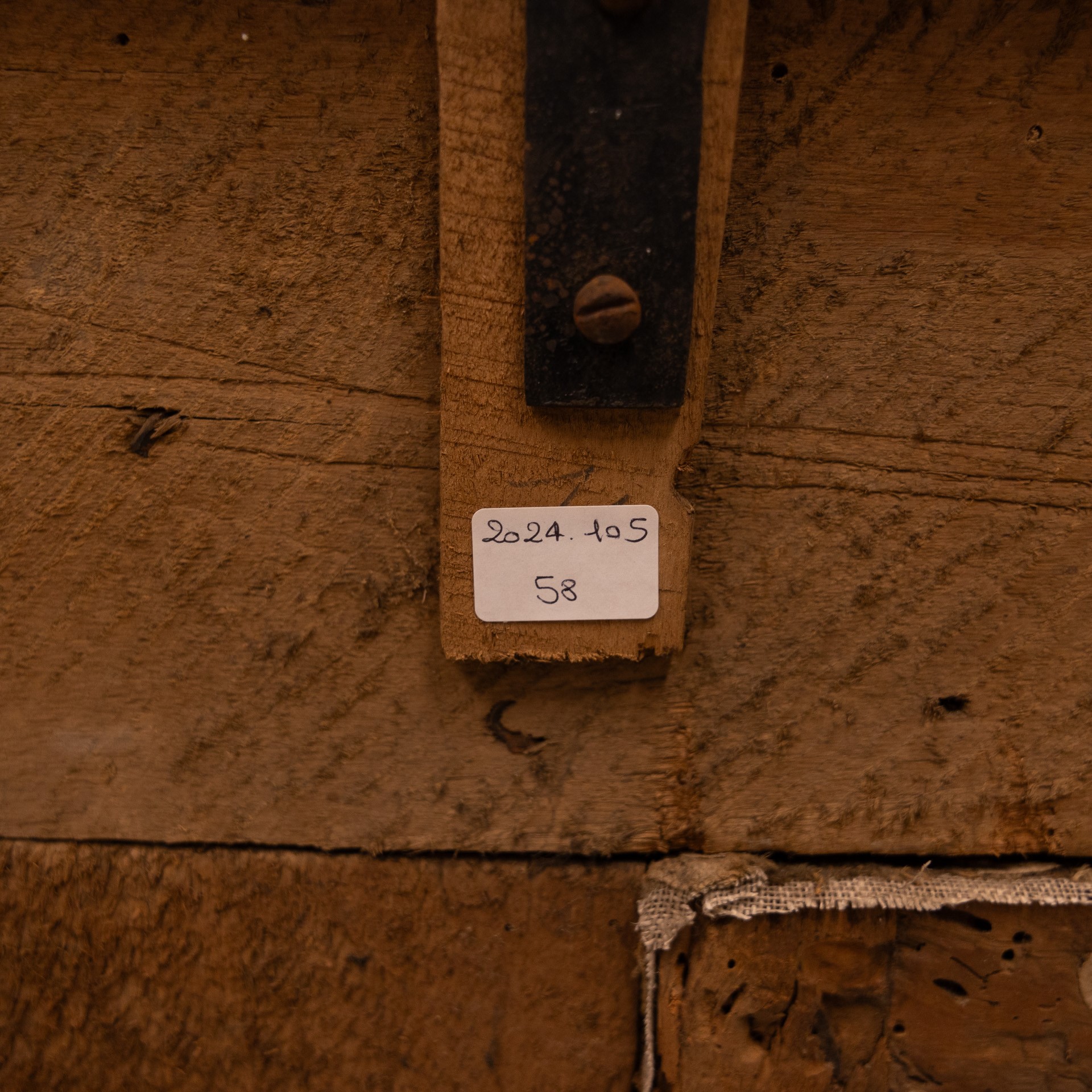 Ritratto del Conte Anton Clemente Mazzoni