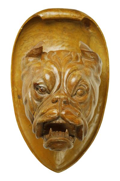 Trofeo con Testa di Bulldog in Legno Intagliato e Scolpito Poggiante su Scudo Ovale