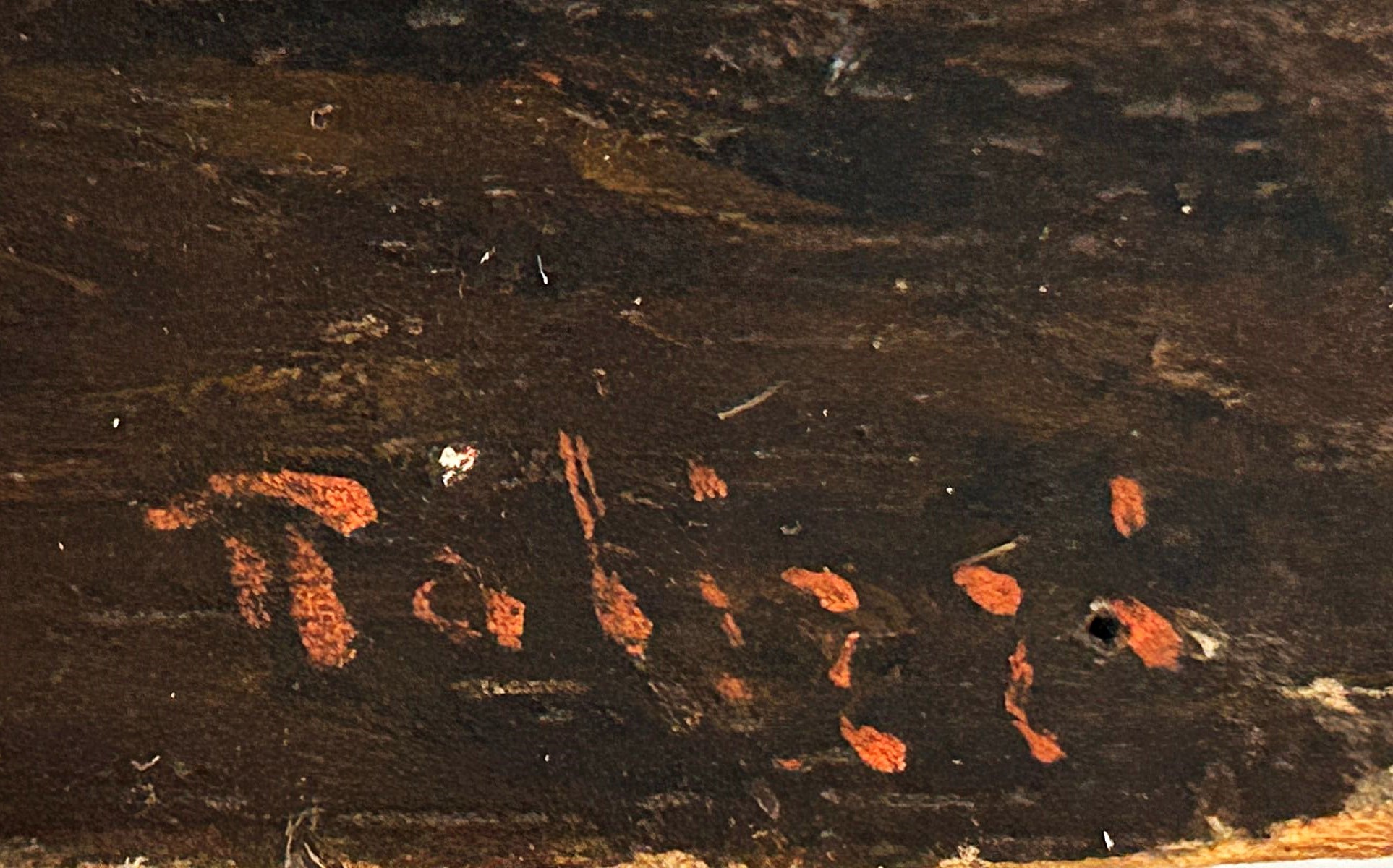 Pecorella nella stalla