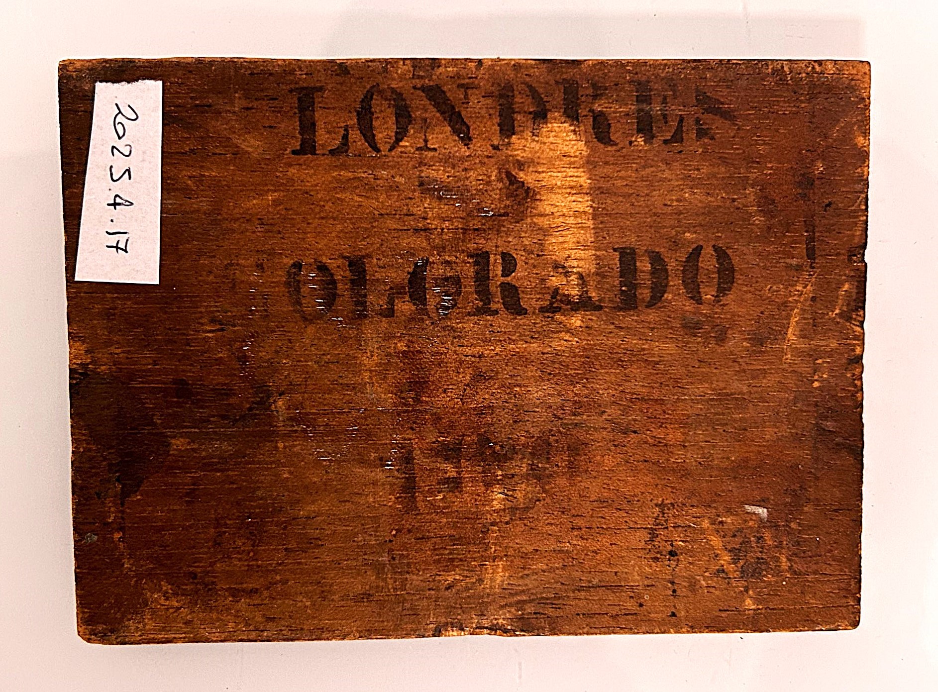 Pecorella nella stalla