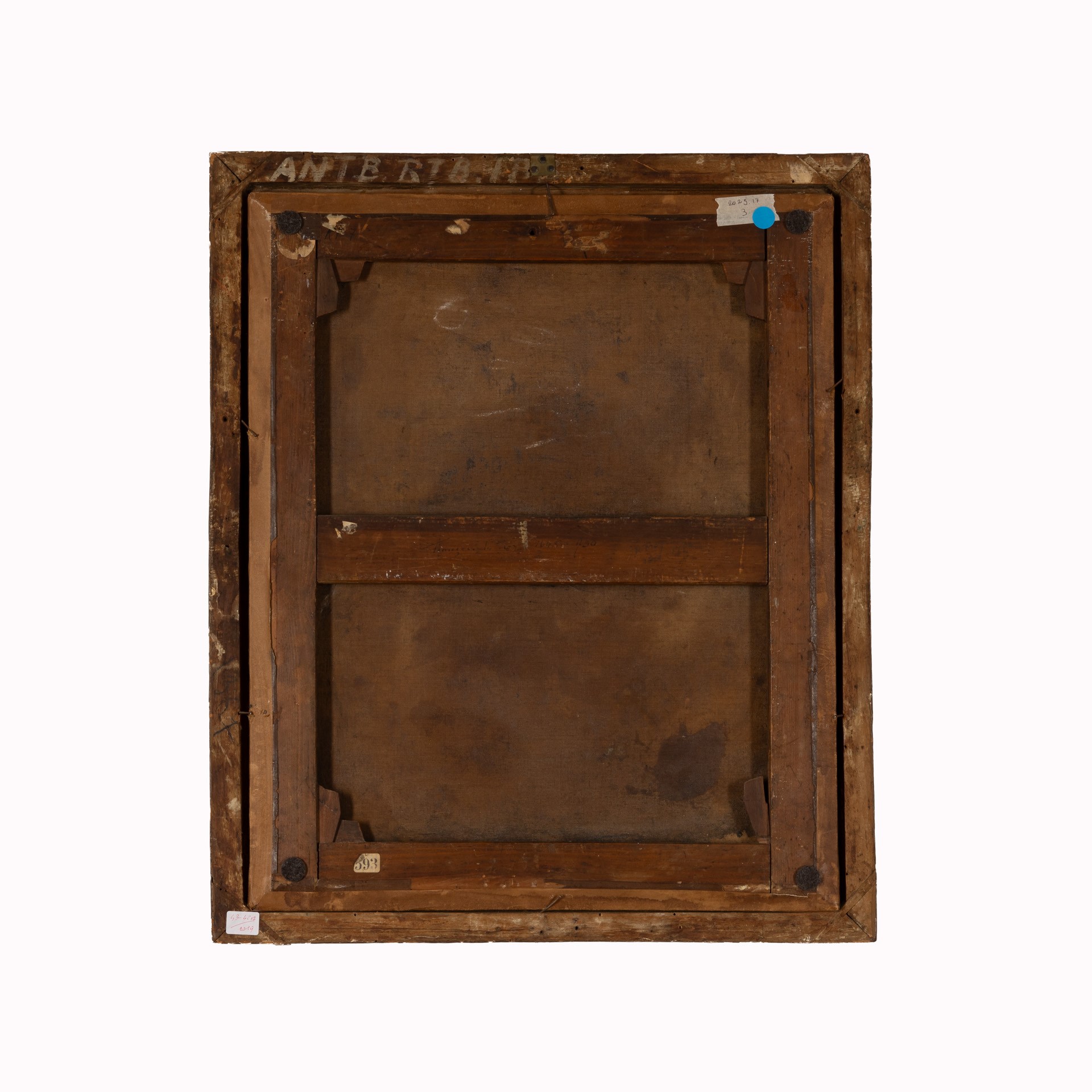 Giovane gentiluomo con cravattino rosso