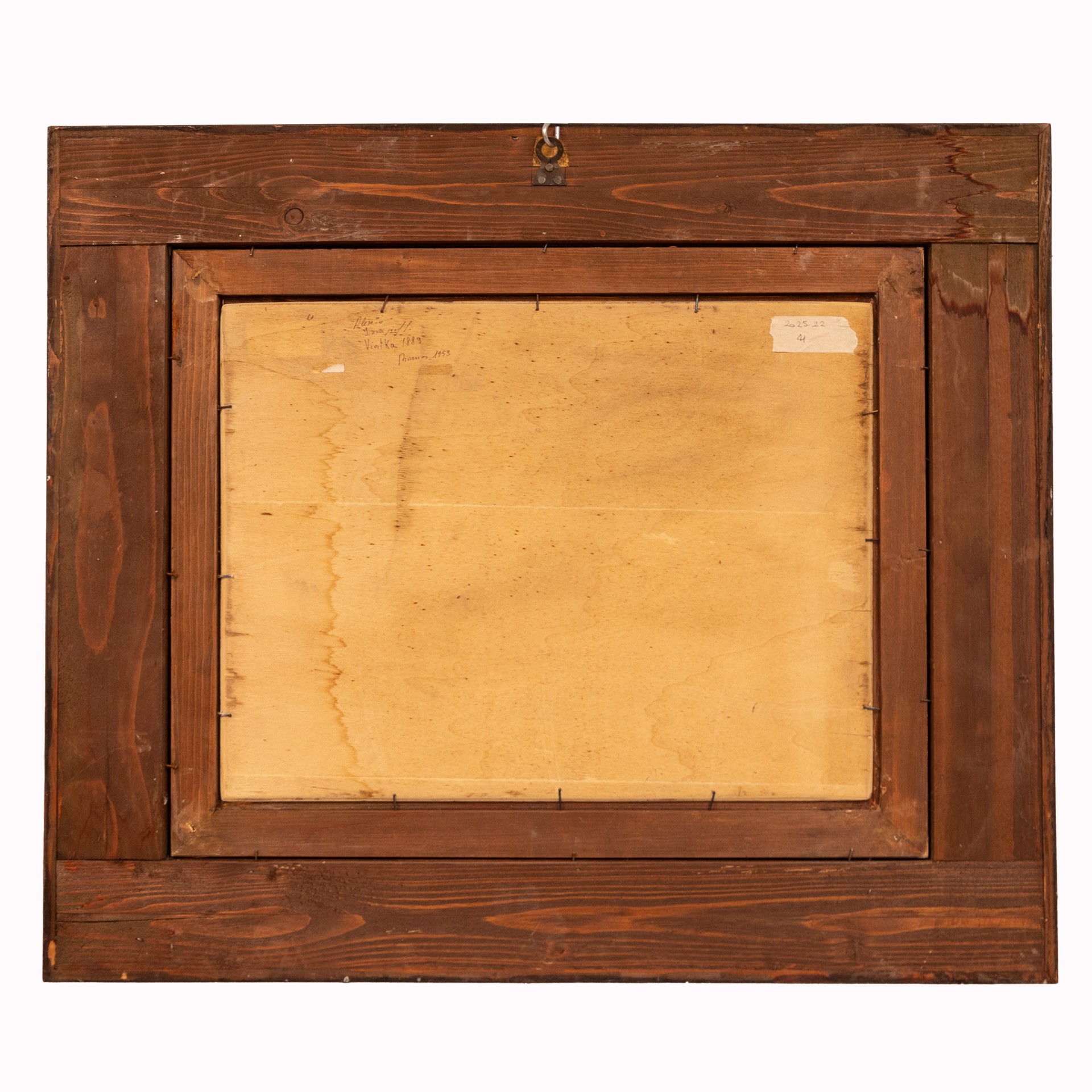 Riposo dei cavalli nella neve