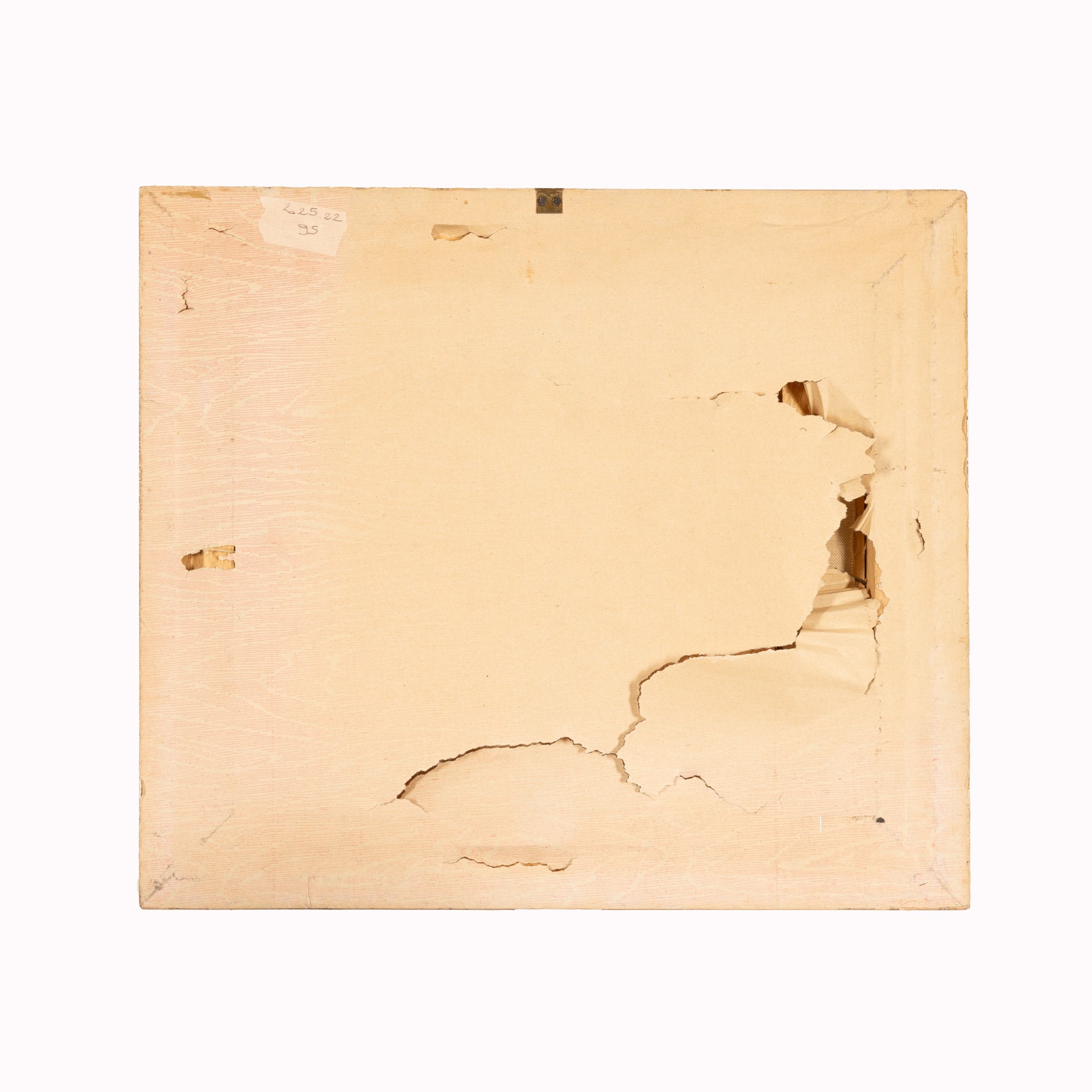 Capra e gallina nella stalla