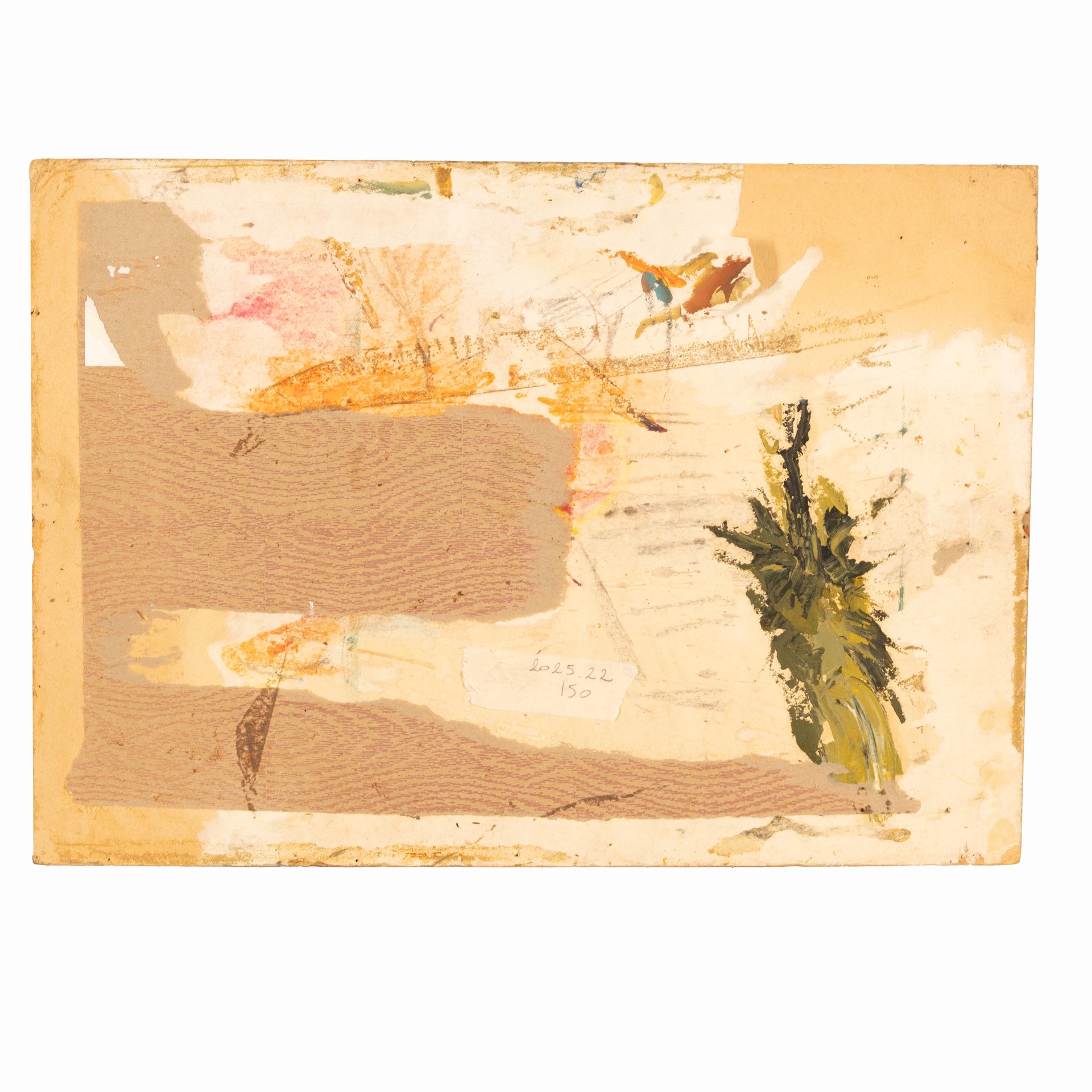 Amleto Cencioni - Natura morta, olio su cartone