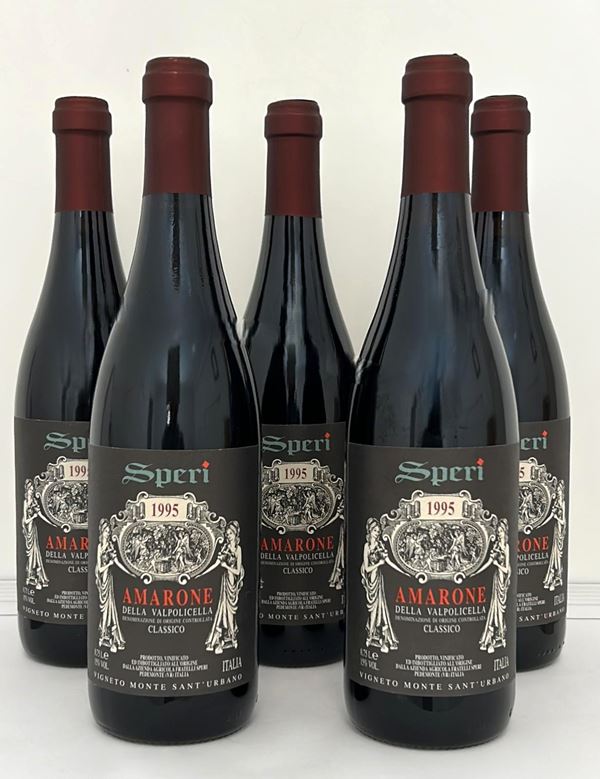 Gruppo di 5 bottiglie SPERI 1995