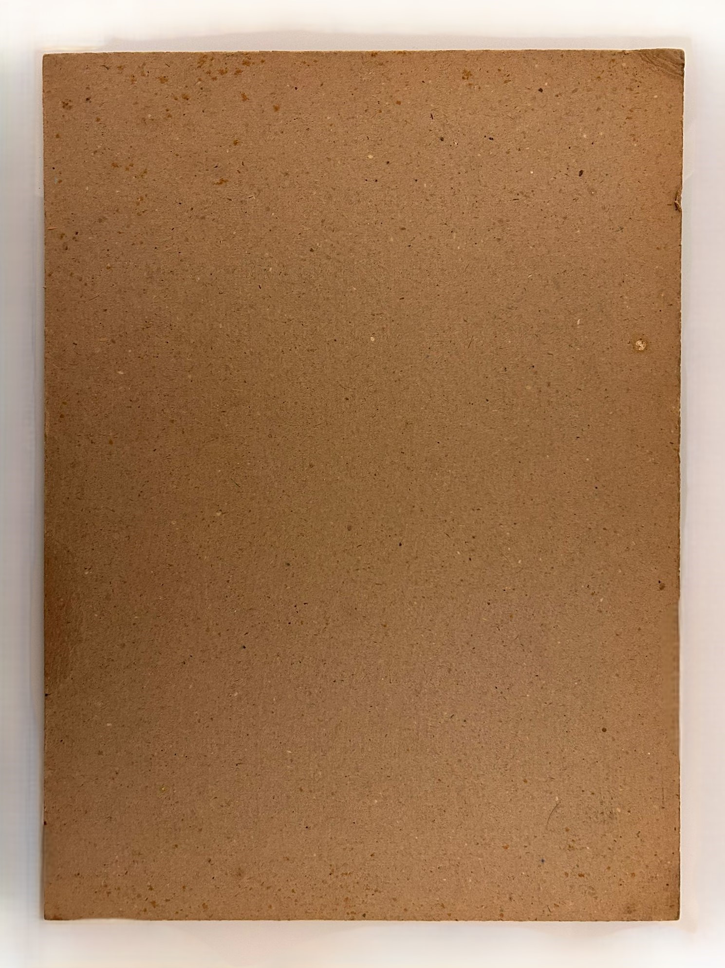 "VEDUTA DI PINETA DAL TERRAZZO" DI CASTIGLIONCELLO 1929