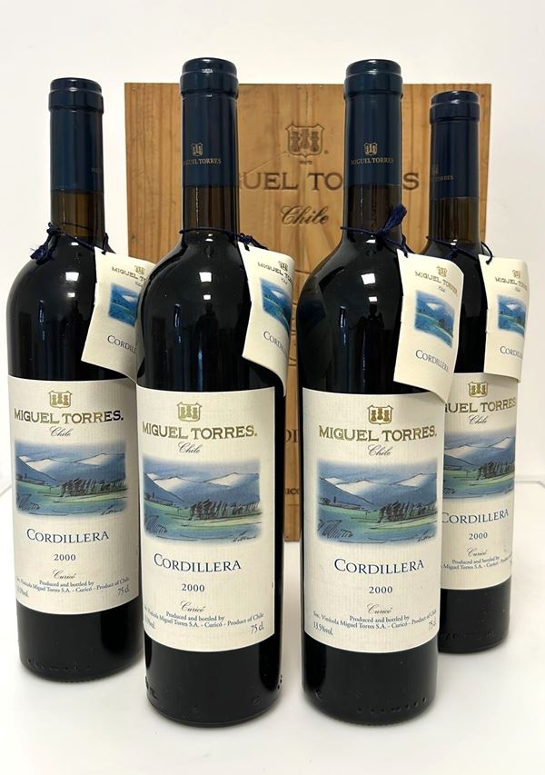 GRUPPO DI 4 BOTT. CORDILLERA 2000