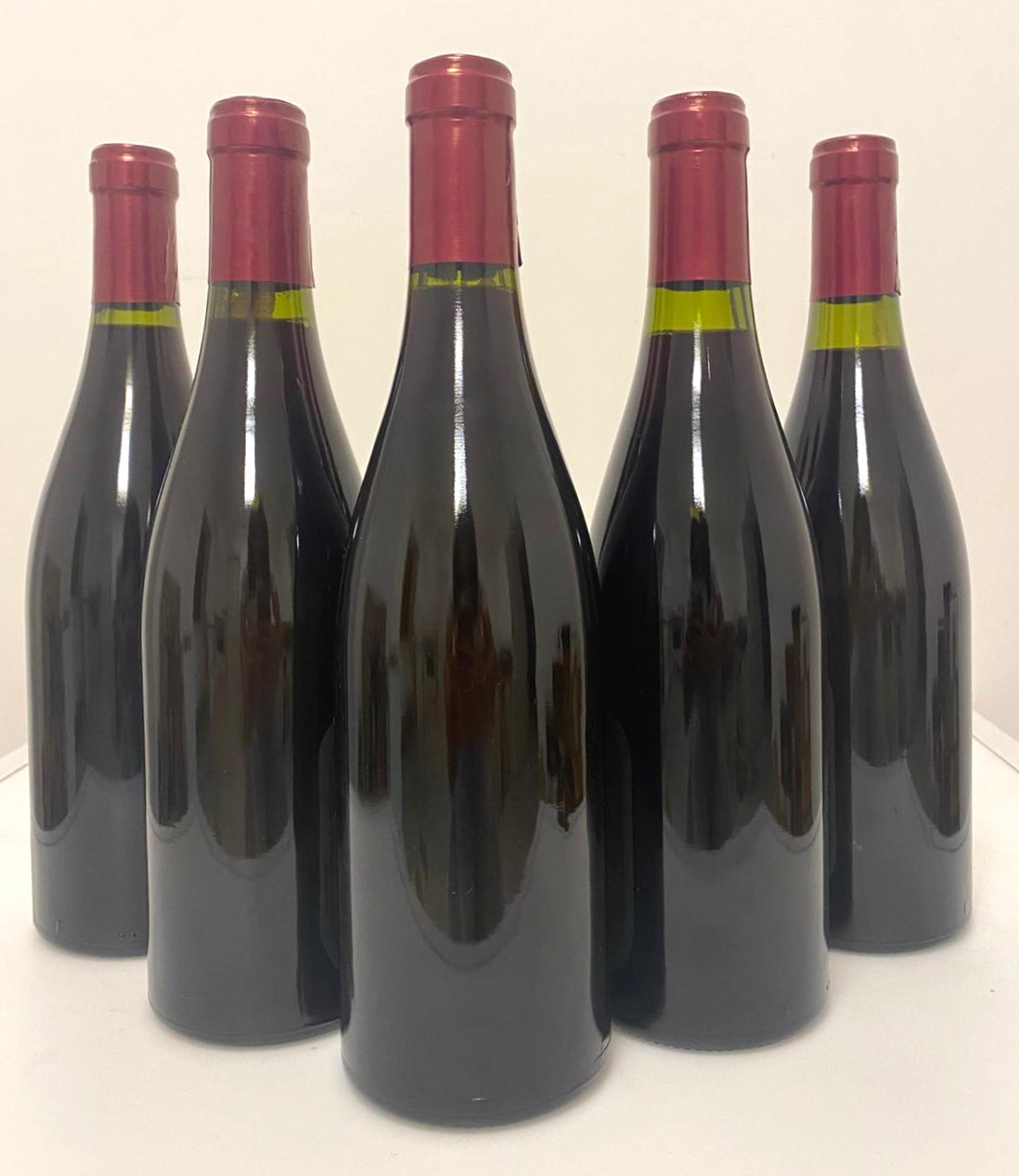 GRUPPO DI 5 BOTT. DI PINOT NOIR CHICOTOT 2012