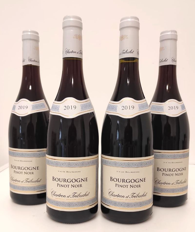 GRUPPO DI 4 BOTT. DI PINOT NOIR CHATEAU T. 2019