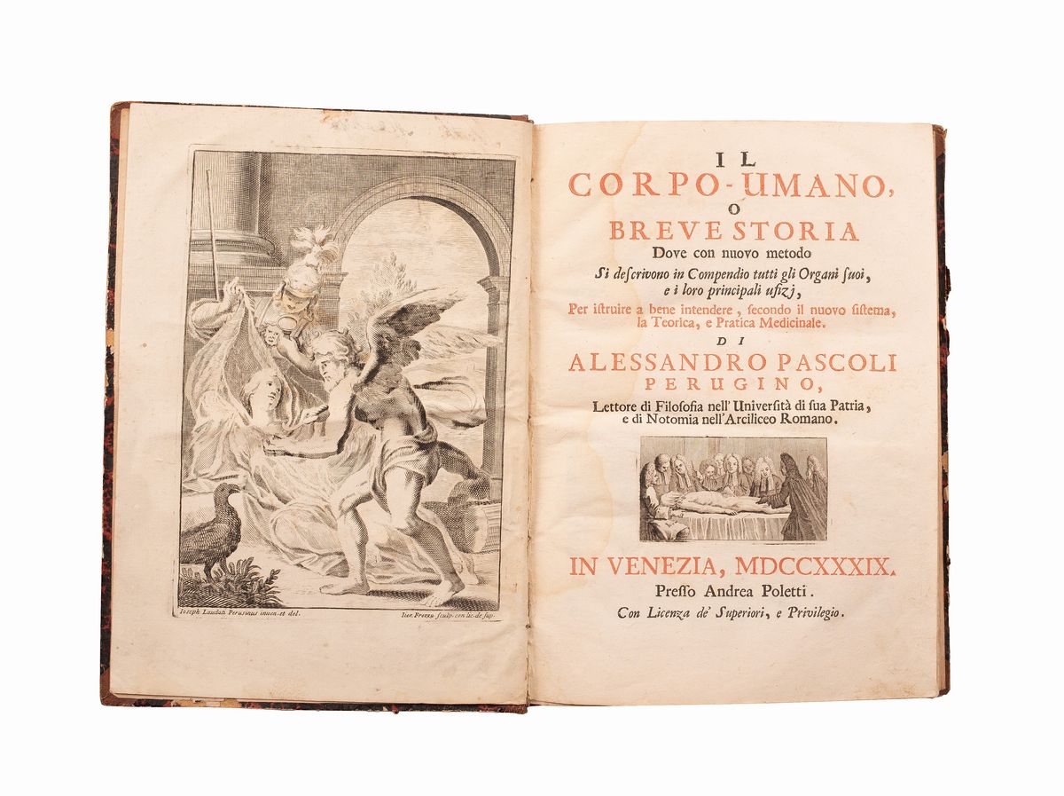 Il Corpo-umano, o Breve Storia Dove con Nuovo Metodo Si Descrivono in Compendio Tutti gli Organi ...