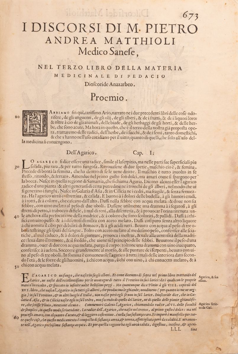 I Discorsi [...] Ne i Sei Libri della Materia Medicinale di Pedacio Dioscoride Anazarbeo