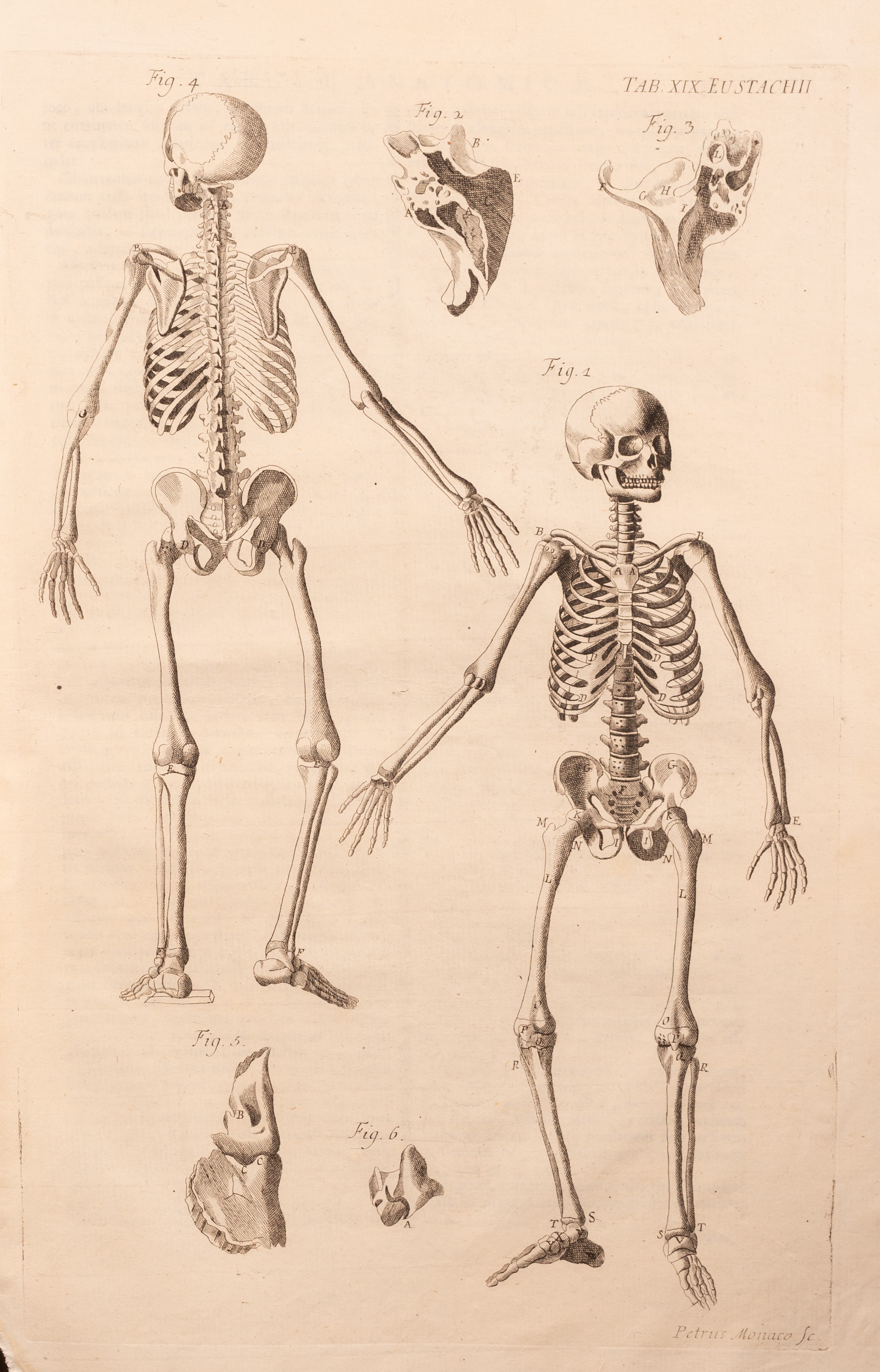 Eustachius, Bartolomeo: Tabulae Anatomicae Clarissimi Viri Bartholomaei Eustachii ...