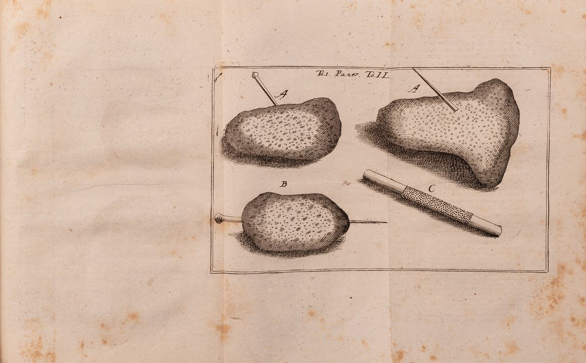 Anatomia Chirurgica Ovvero Descrizione Esatta delle Parti del Corpo Umano, con Osservazioni Utili...