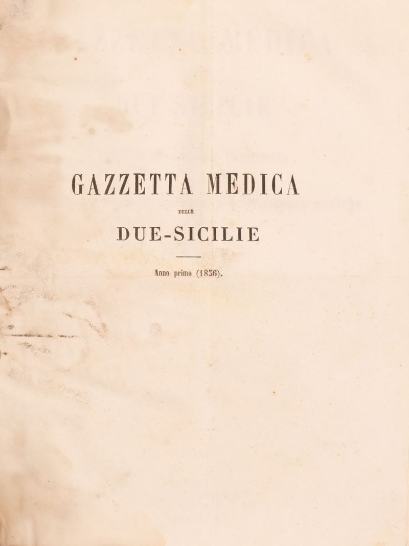 Gazzetta Medica delle Due Sicilie... Compilato da Francesco Alberti