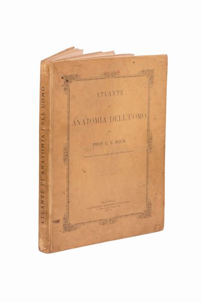 Atlante di Anatomia Dell'uomo del Prof. C.e. Block