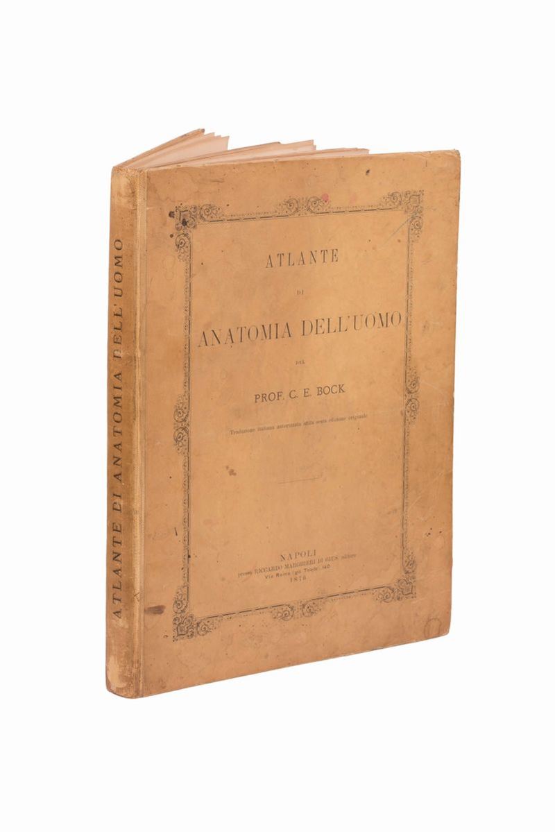 Atlante di Anatomia Dell'uomo del Prof. C.e. Block