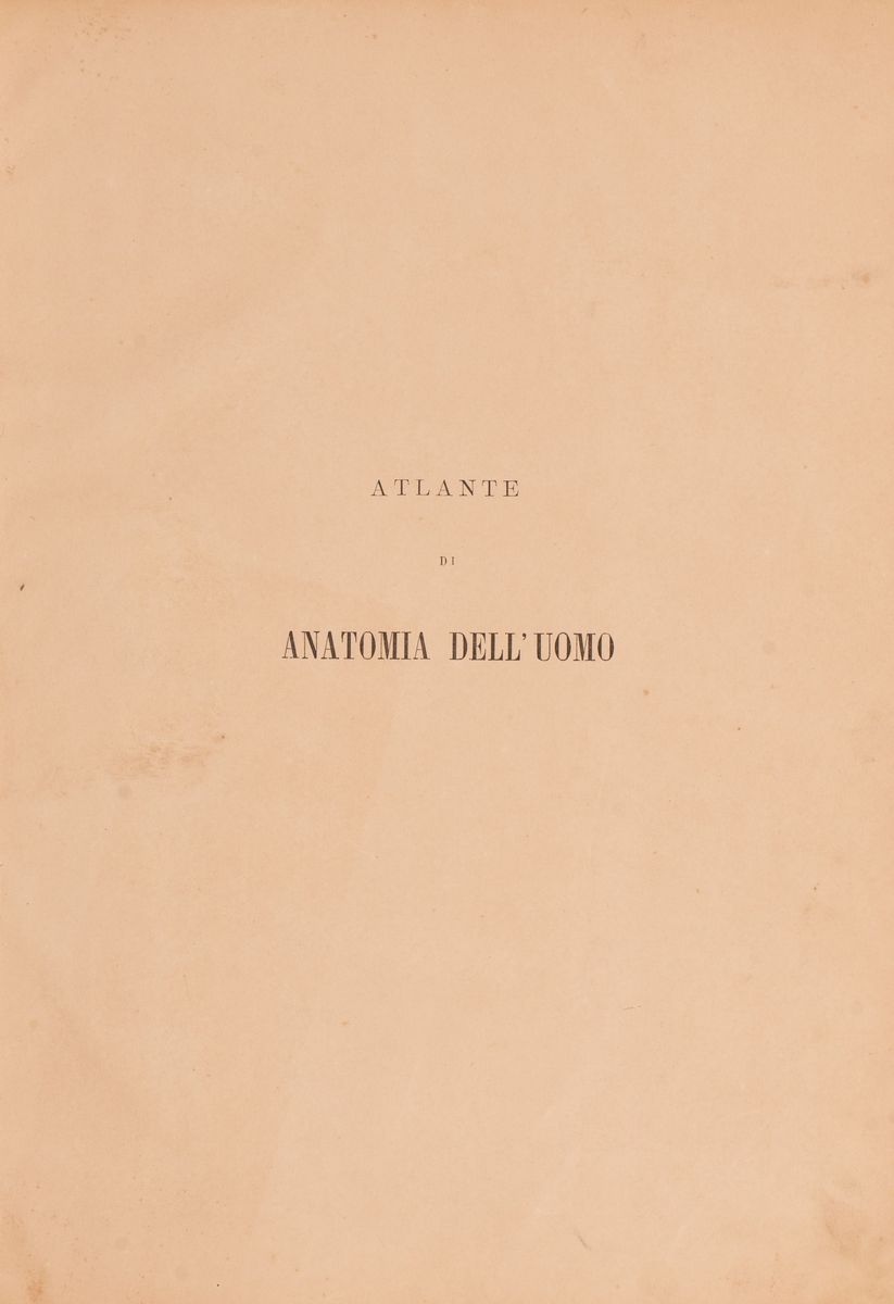 Atlante di Anatomia Dell'uomo del Prof. C.e. Block
