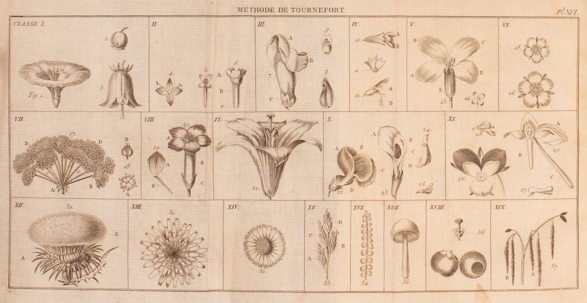 Dictionnaire éLémentaire De Botanique .bulliard Pierre