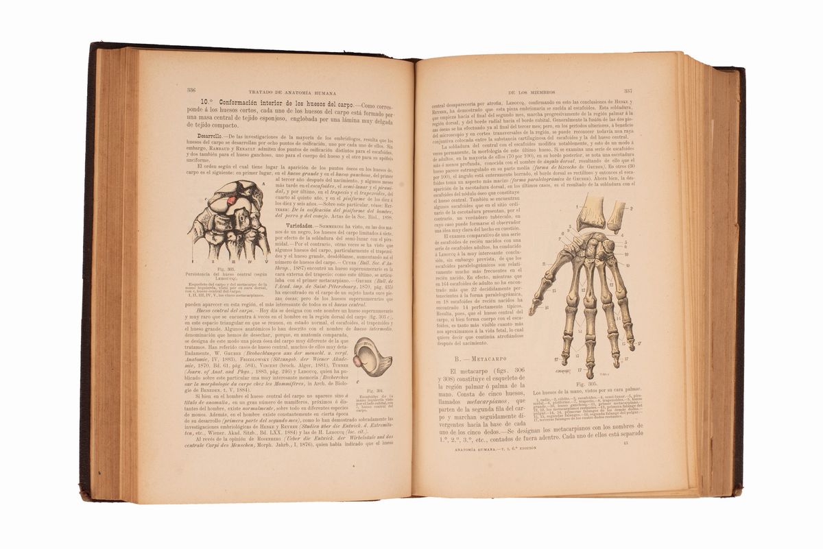 Tratado De Anatomía Humana De L. Testut