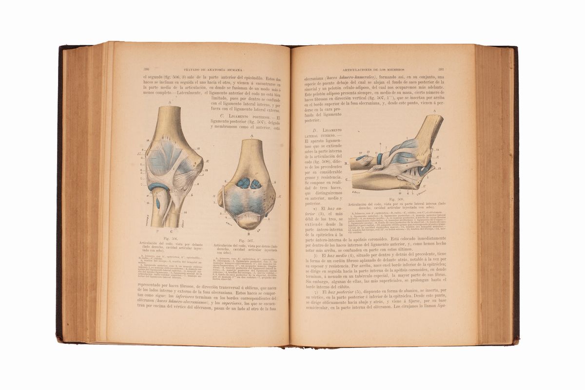 Tratado De Anatomía Humana De L. Testut