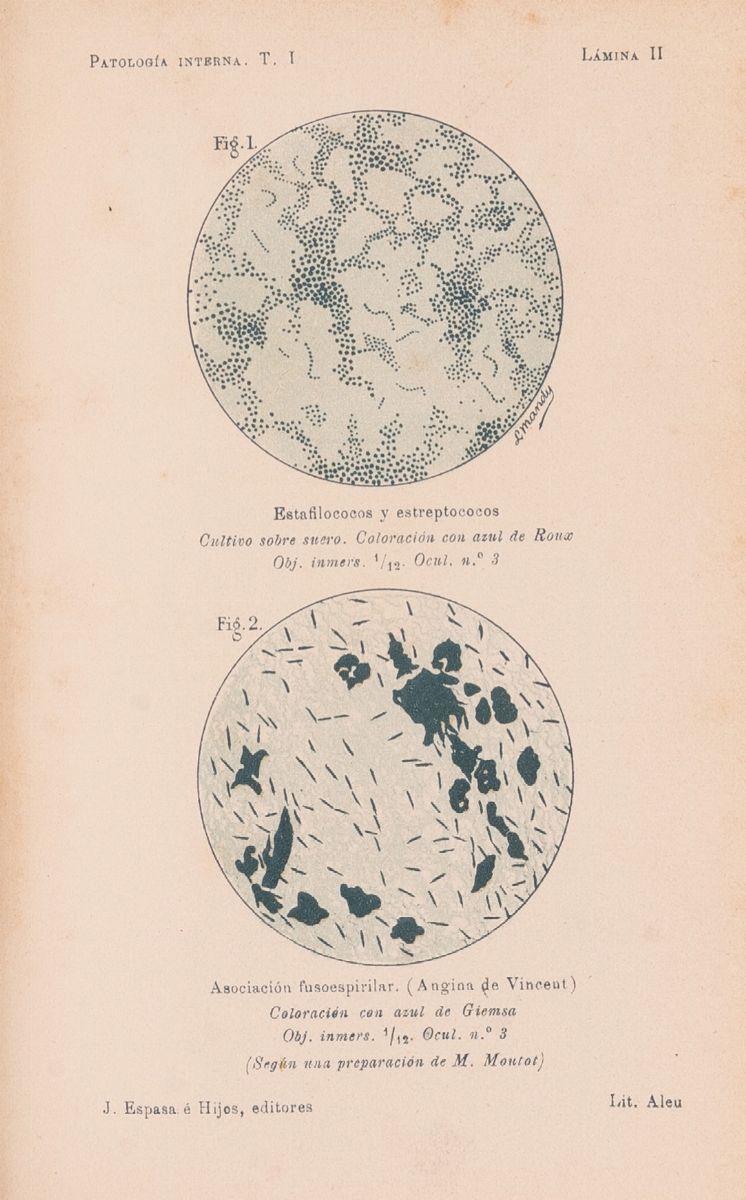 Manual De Patolgia Interna Por F. J. Collet