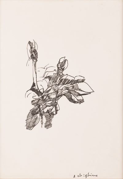 Magnolie