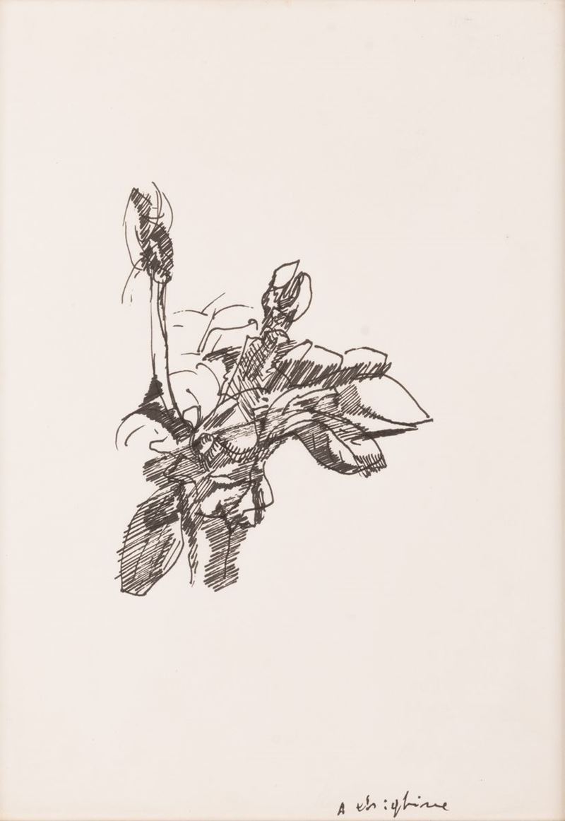 Alfredo Chighine - Magnolie