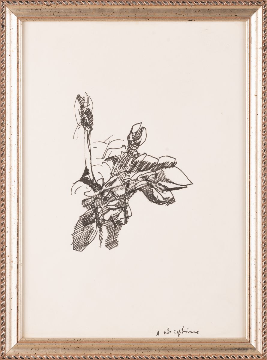 Alfredo Chighine - Magnolie