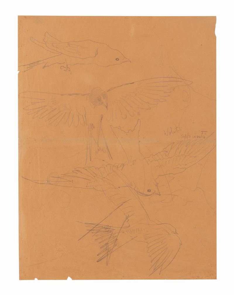 Francesco Paolo Michetti - Volatili